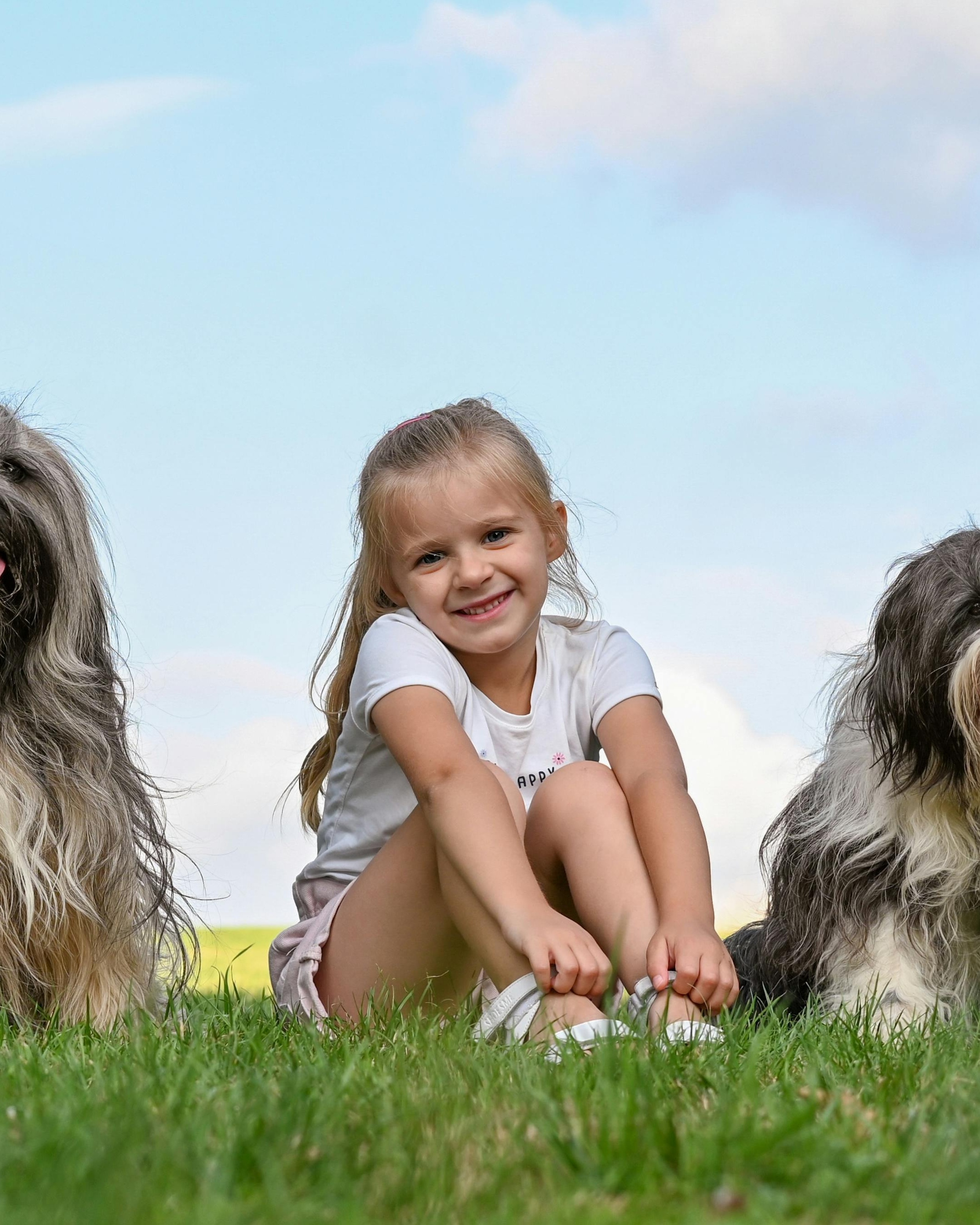 Little Girl With Two Dogs On Grass