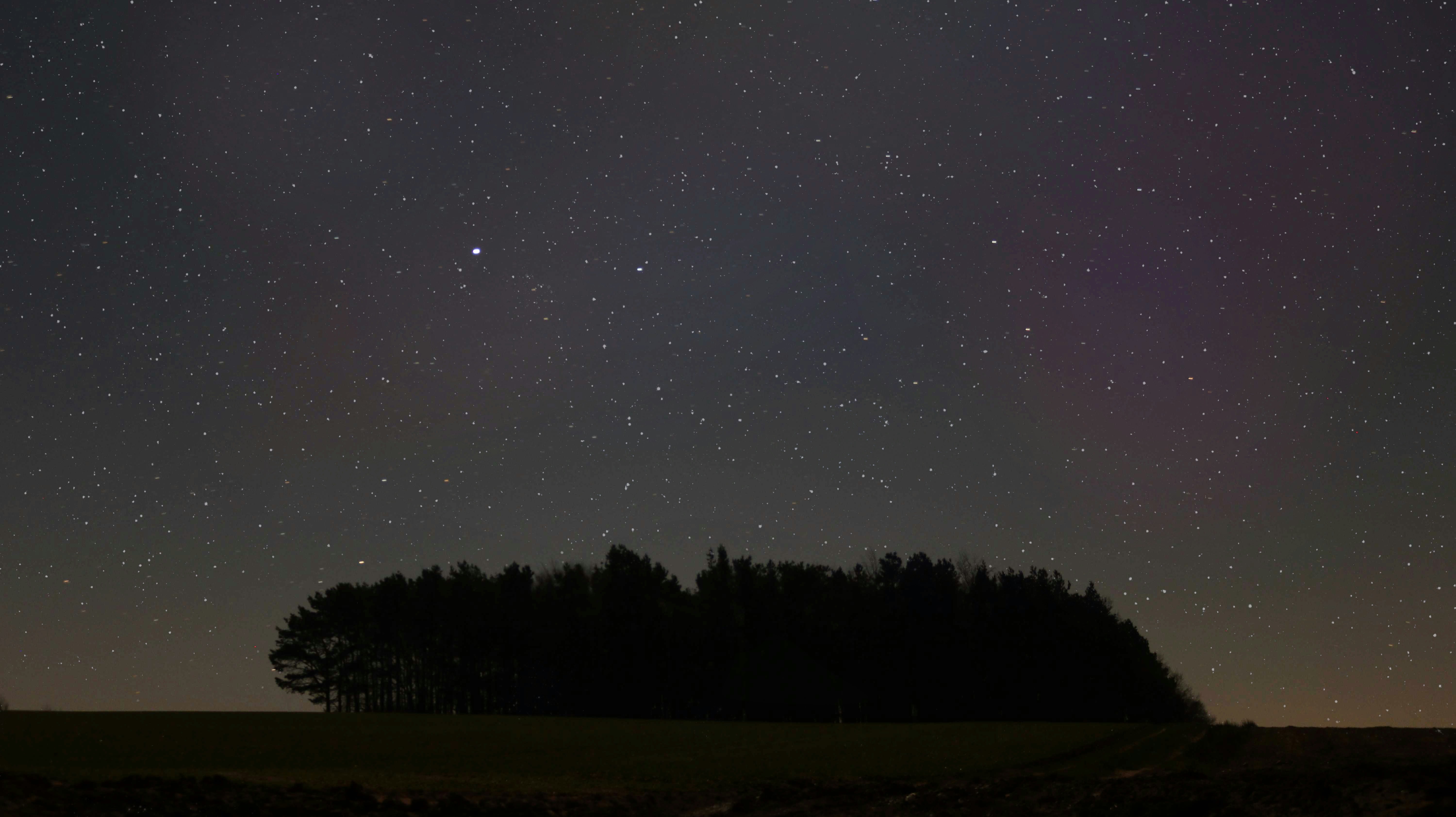 Starry Night Sky Over Forest