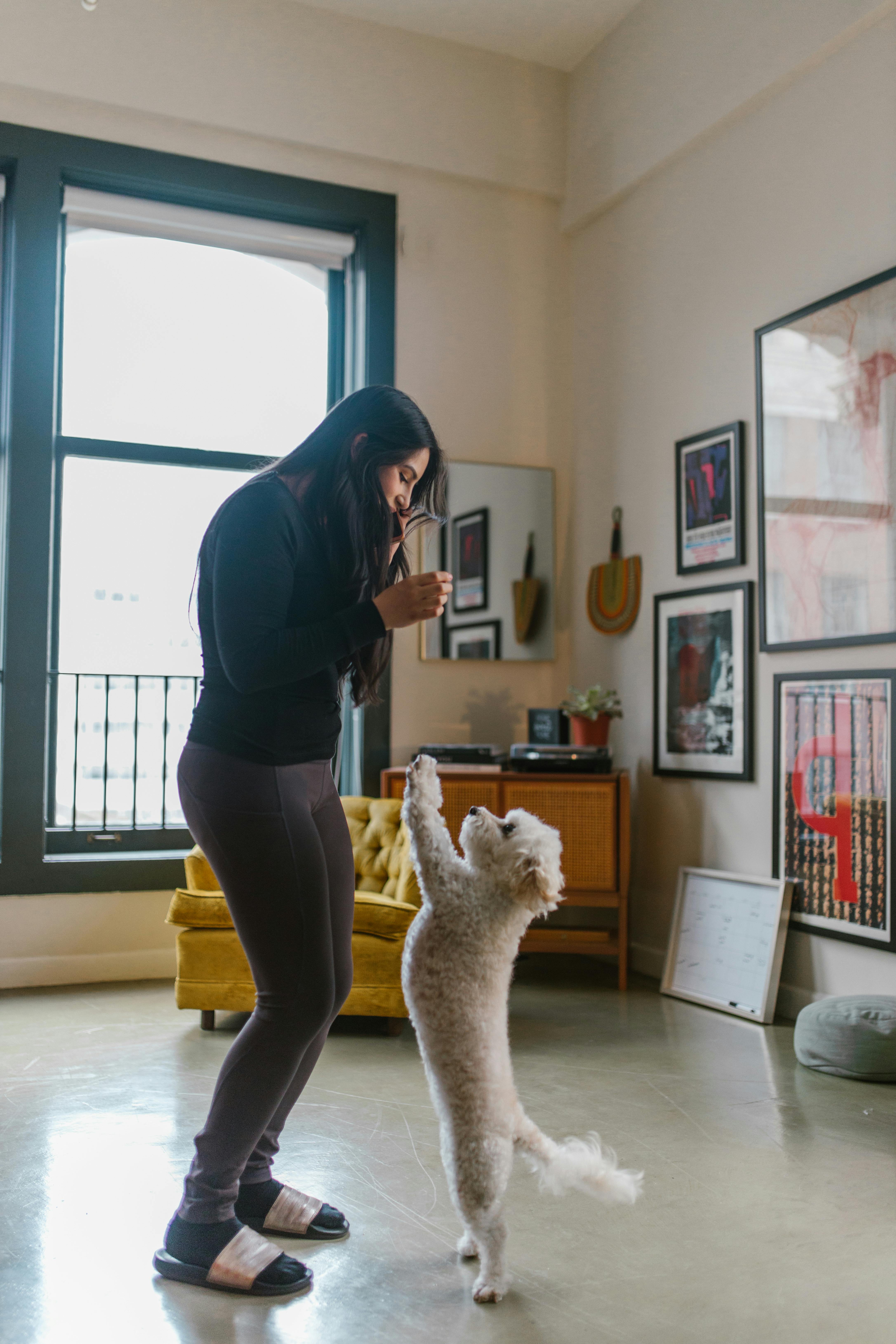 Woman Playing With Small Dog At Home