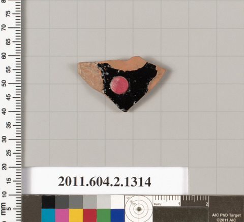 Ancient Pottery Shard Specimen