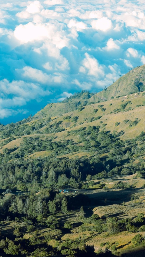 Hilly Mountain Camping Landscape