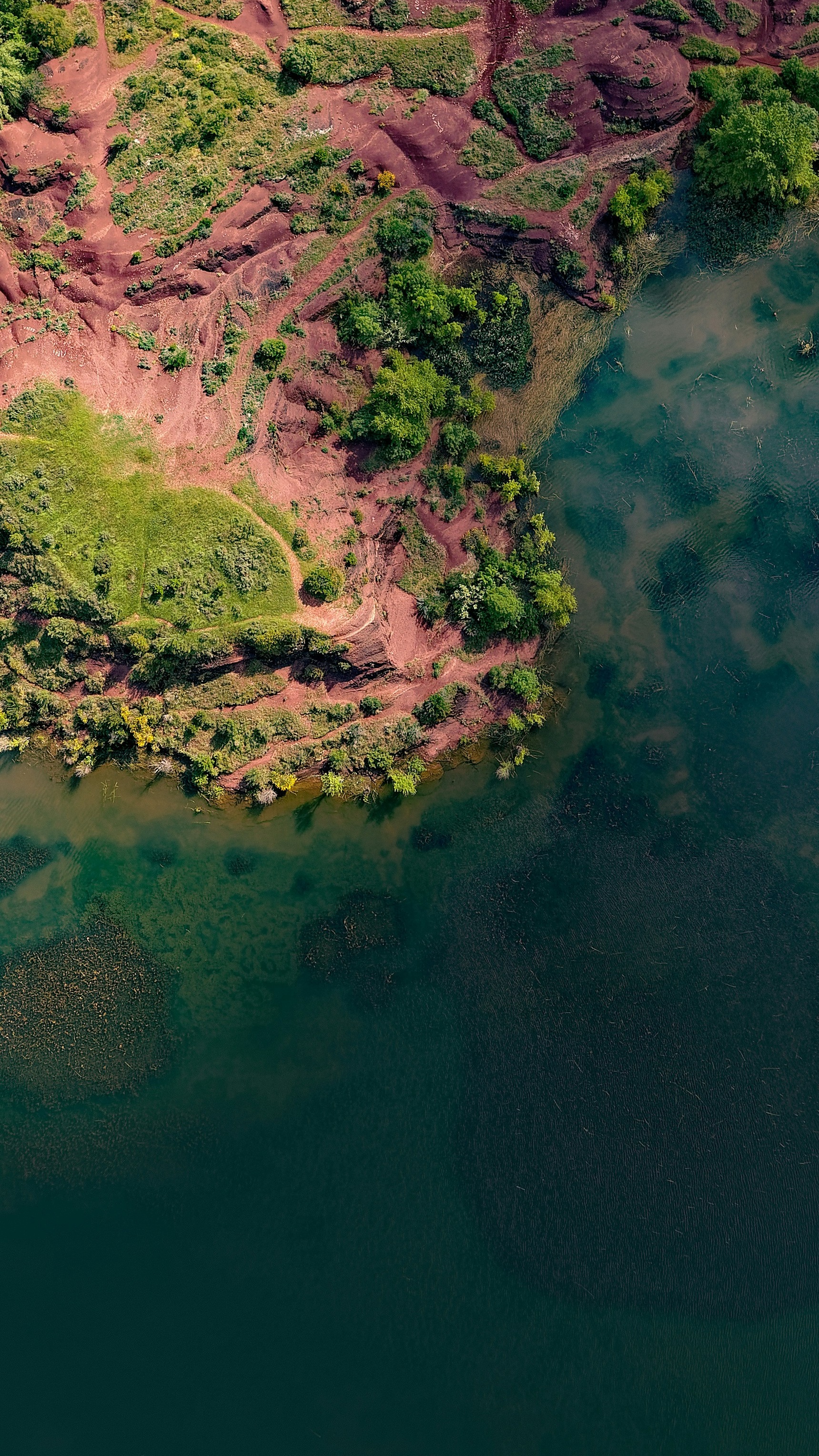 Aerial View of Red Shore By Lake