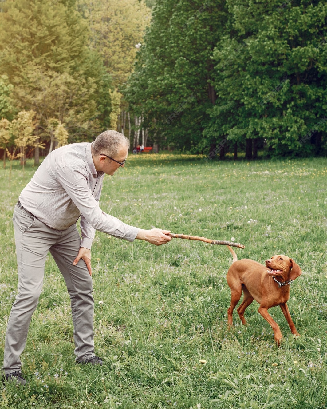 Man Playing Fetch With Dog In Park