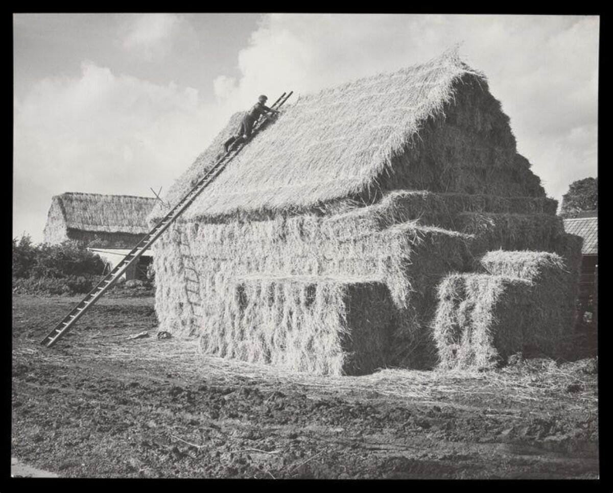 Thatcher Working on Haystack Roof