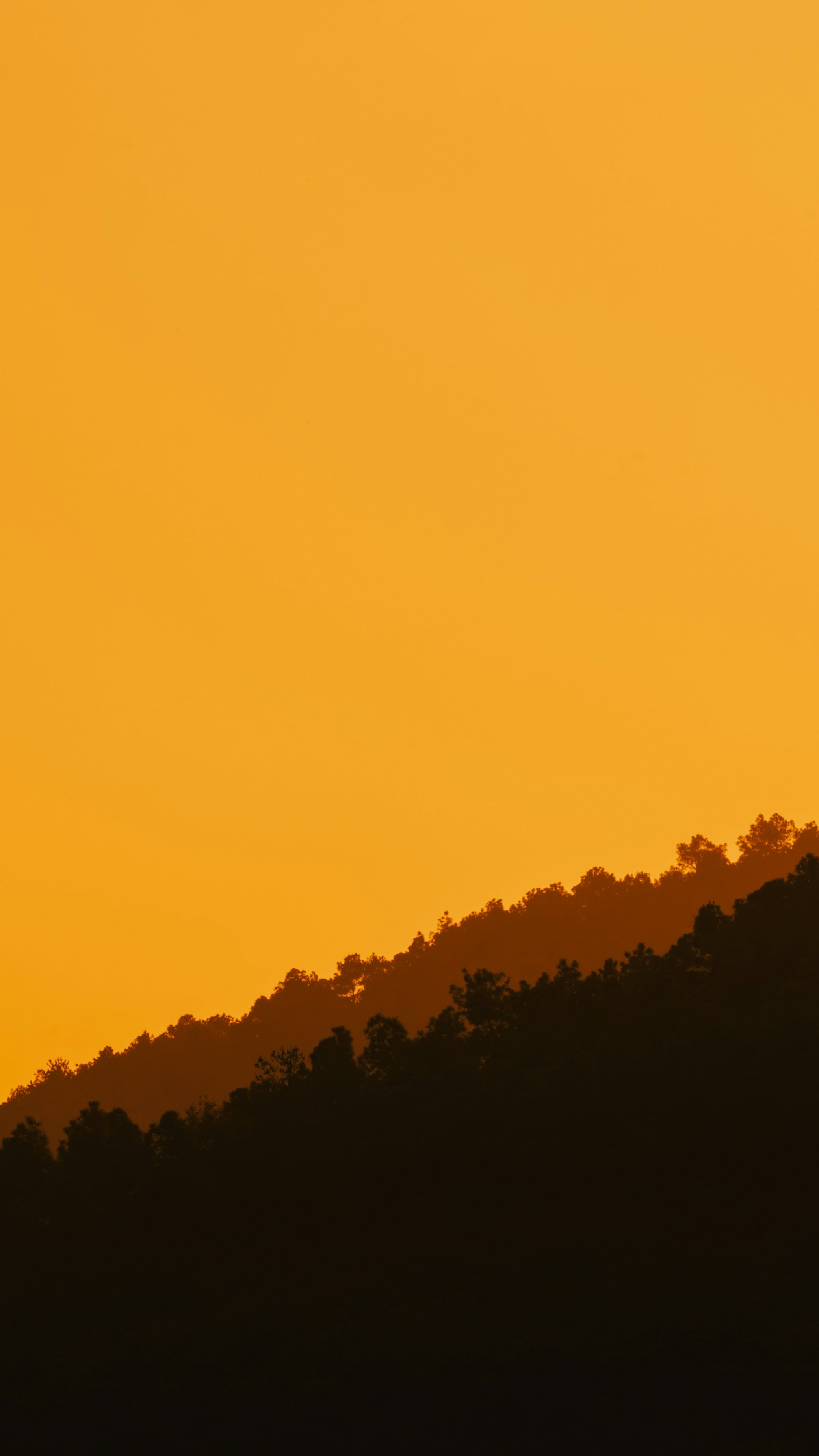 Landscapes