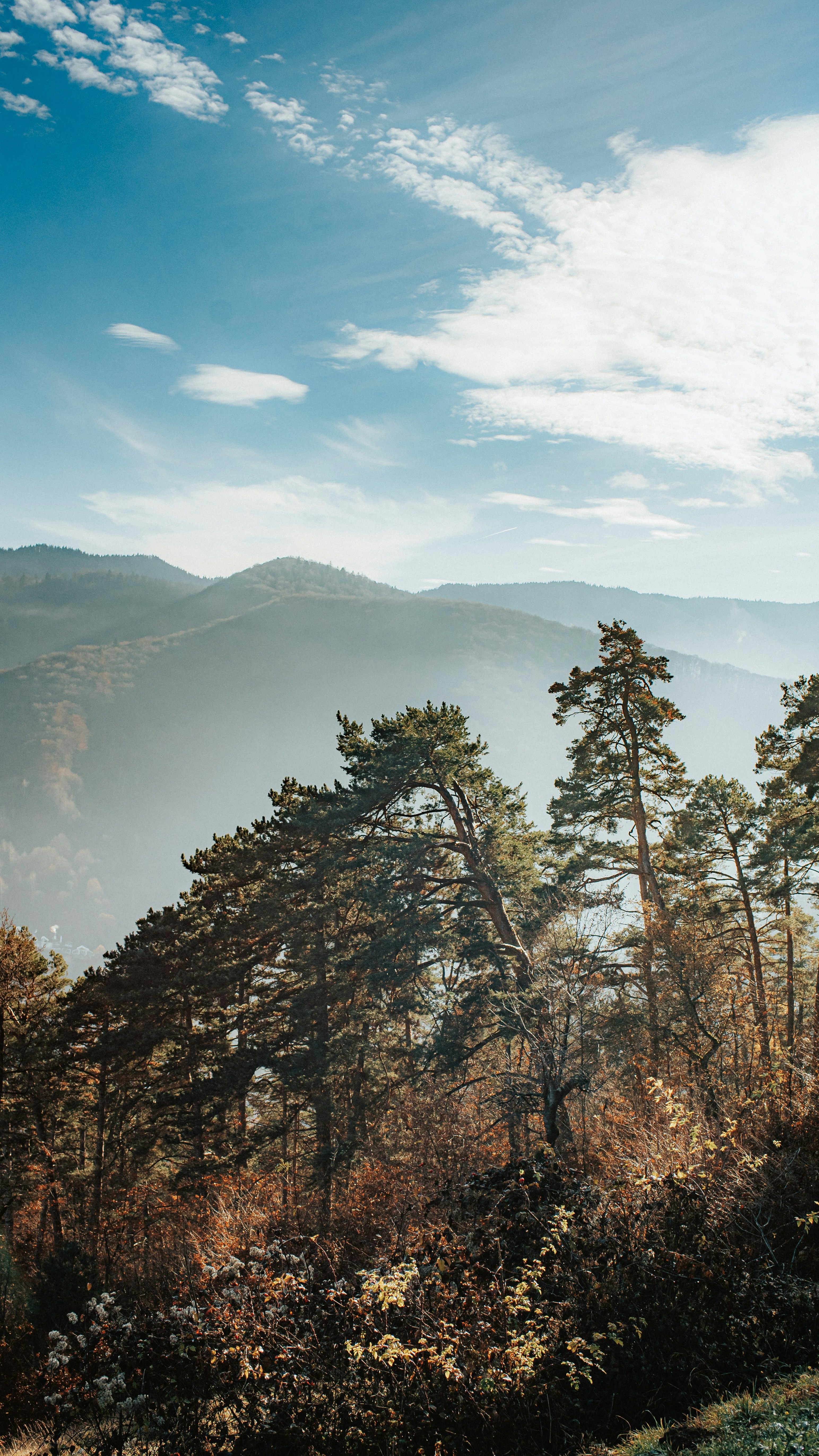 Landscapes