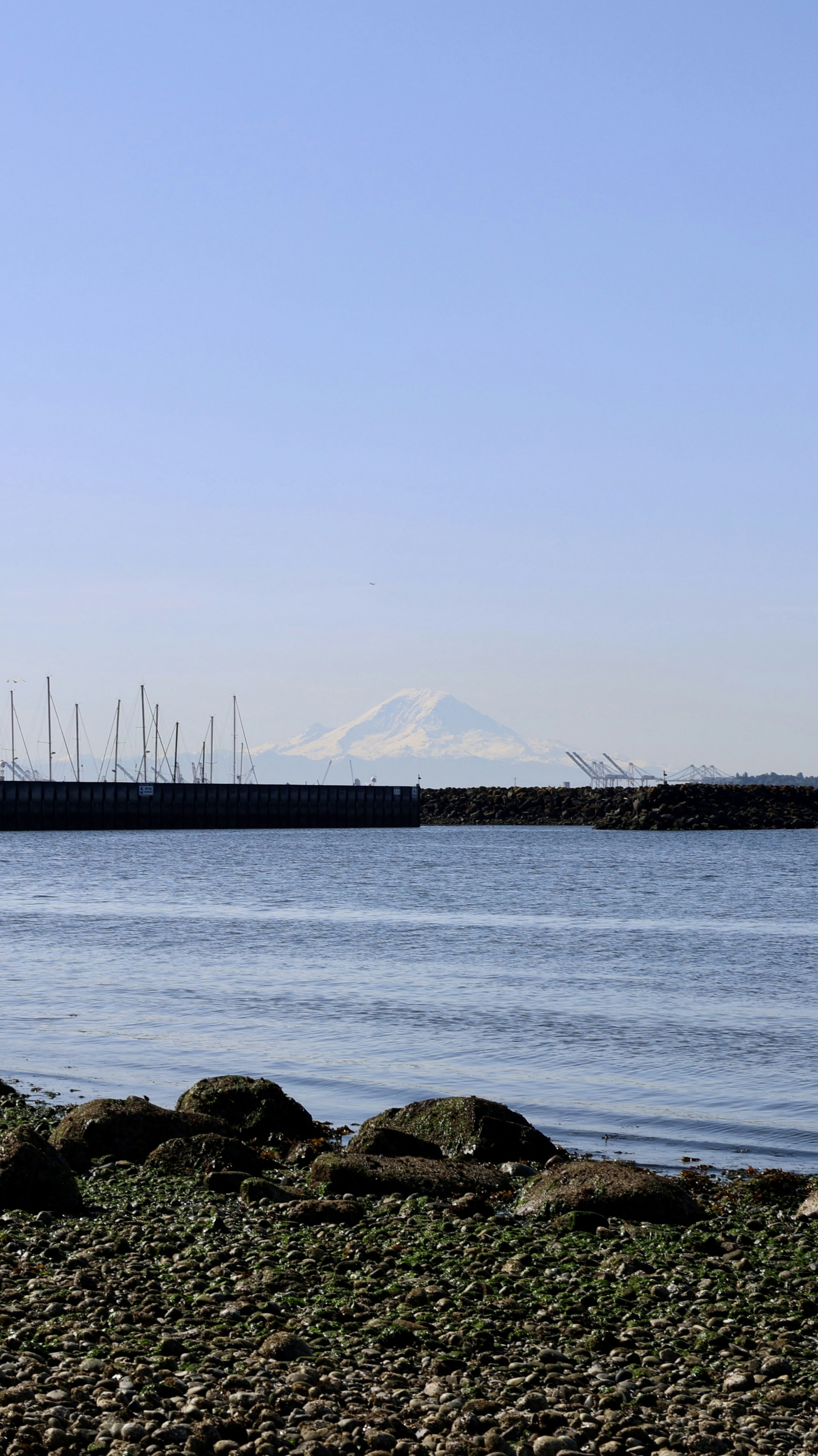 Image 1558387 — Backgrounds