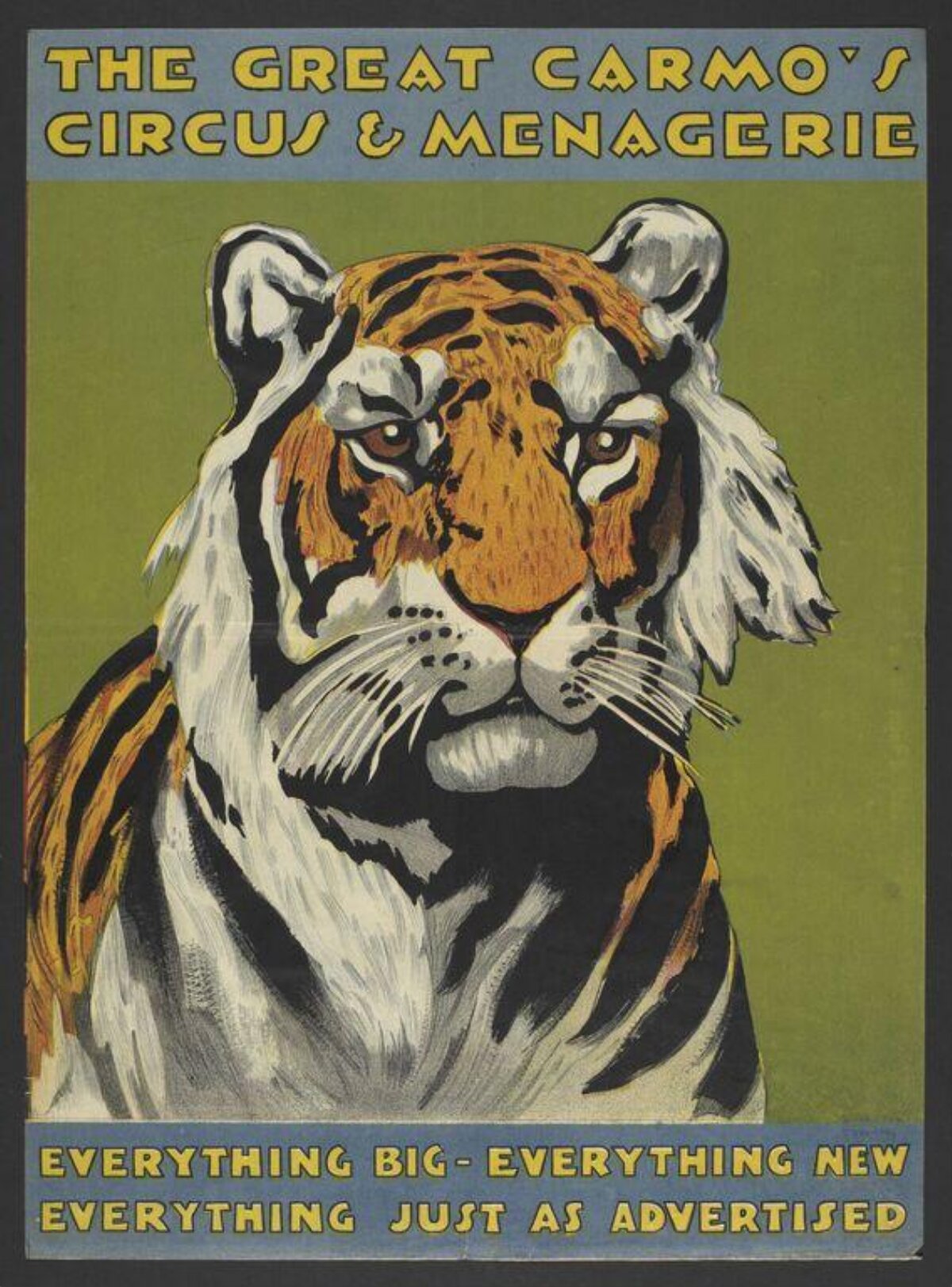 Vintage Carmo Circus Tiger Poster
