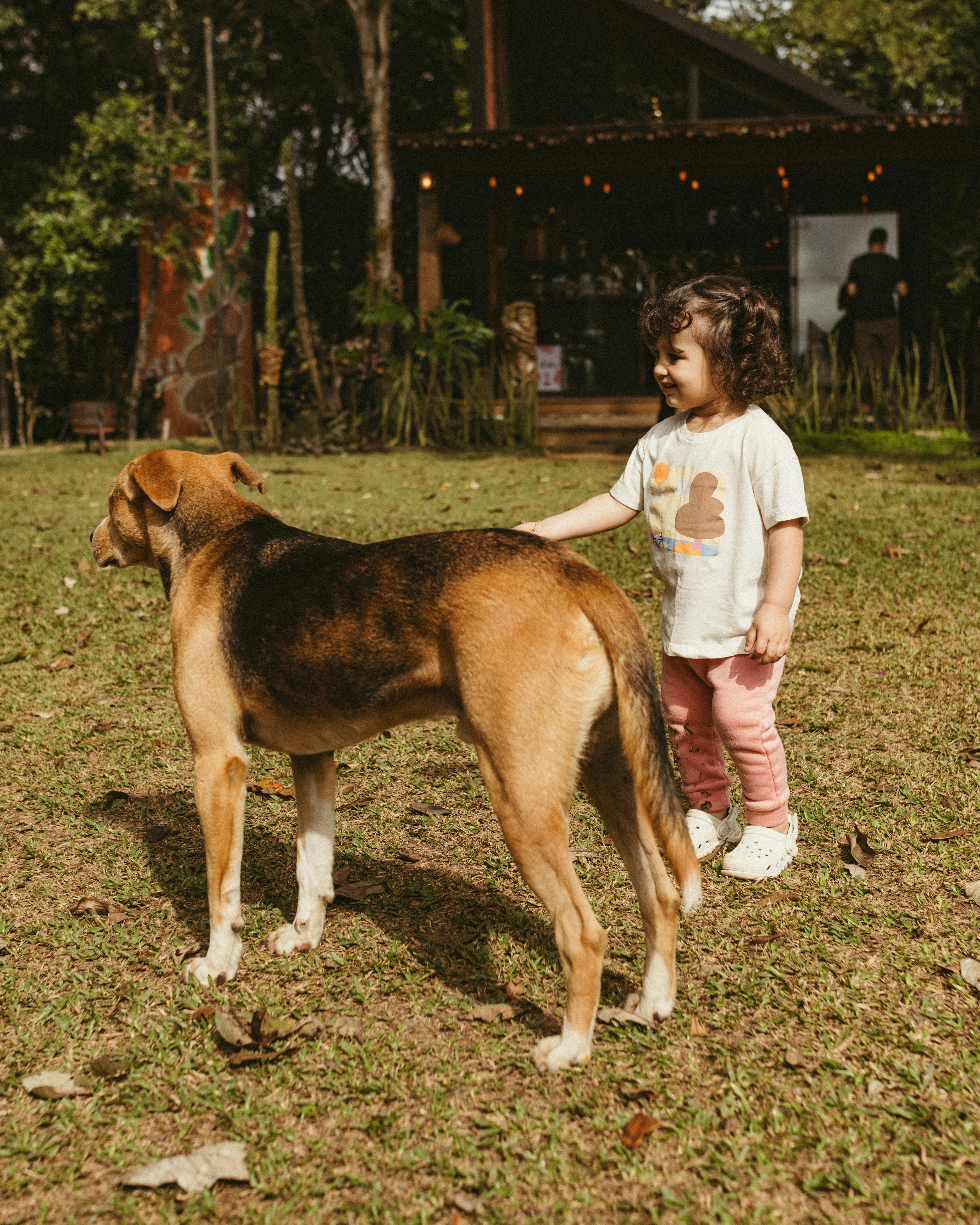 Little Girl Touches Dog on Lawn