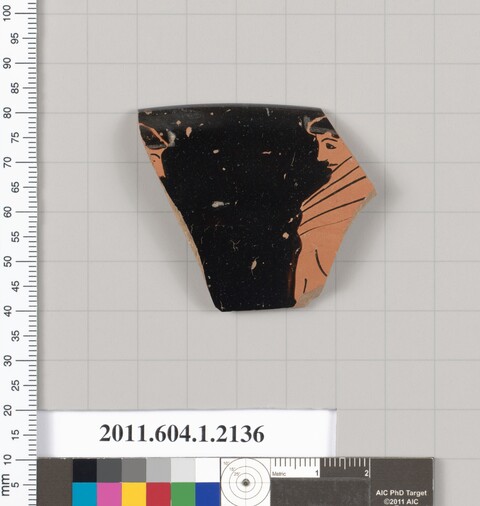 Ancient Terracotta Pottery Fragment