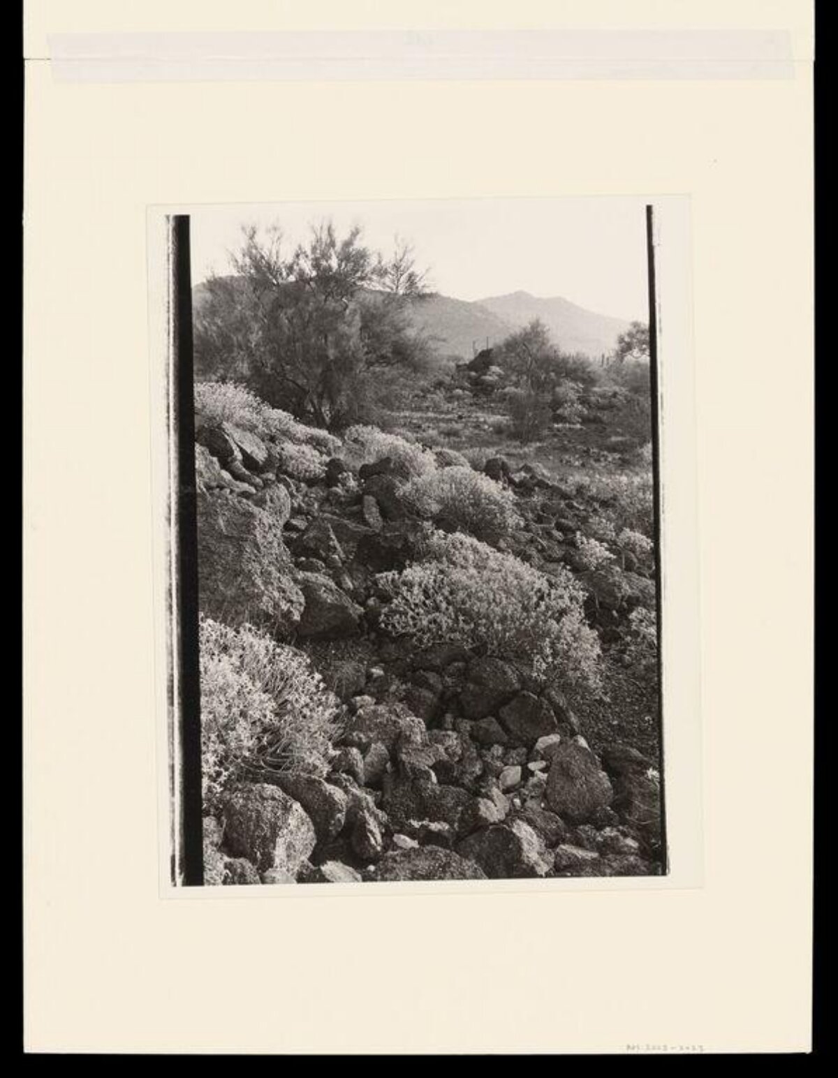 Black and White Desert Hillside Landscape