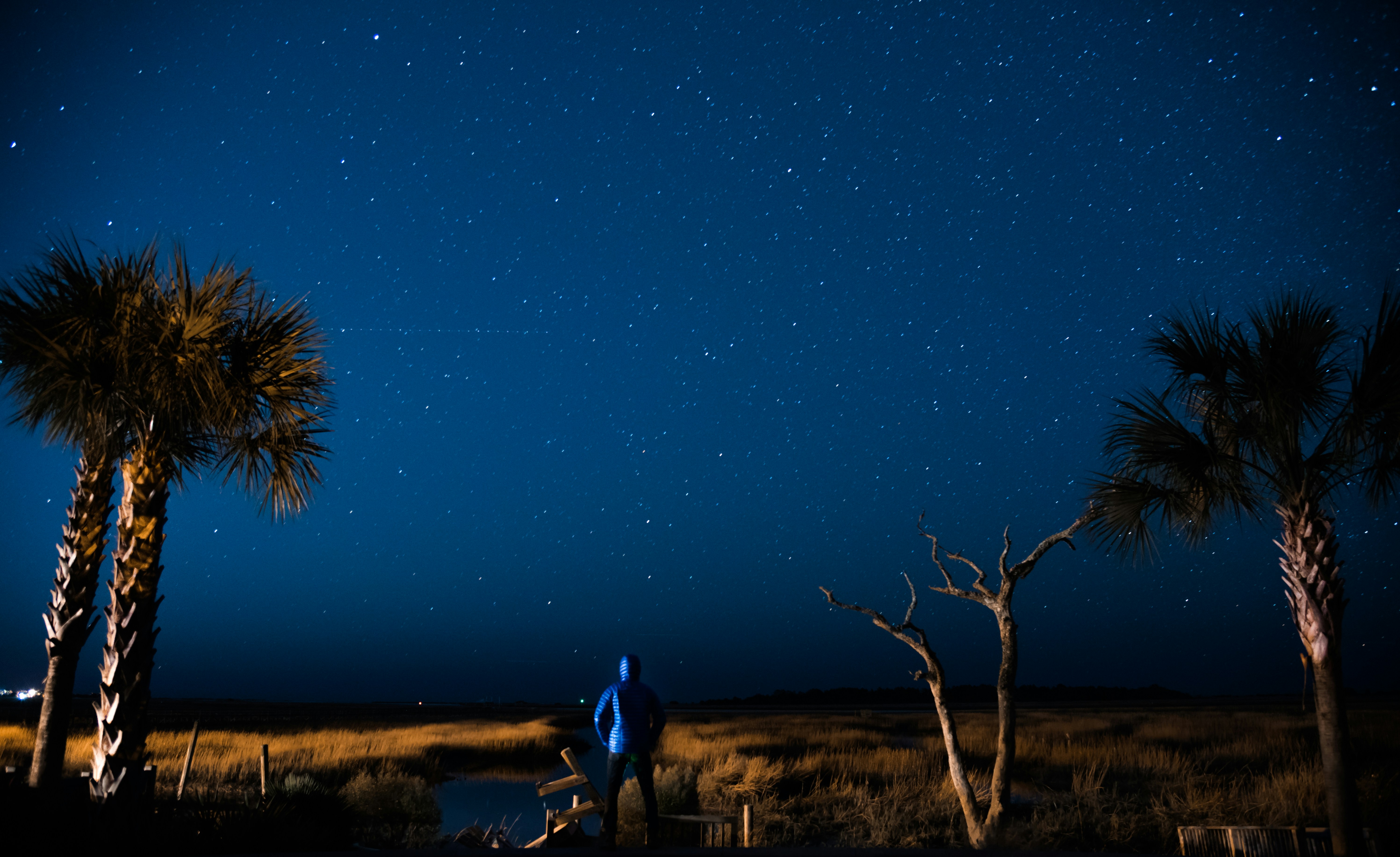 Stargazing at Coastal Wetlands