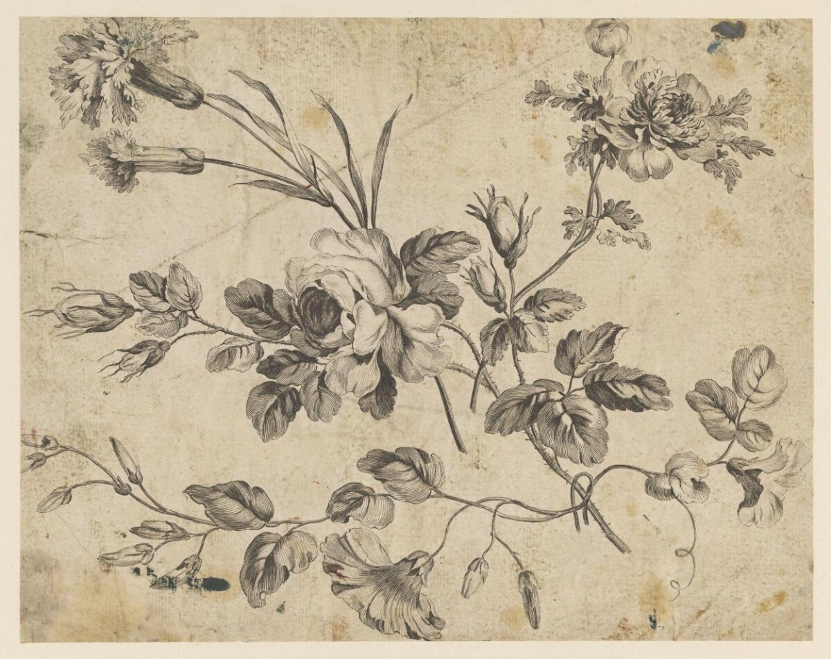 Ink Sketch of Mixed Flowers