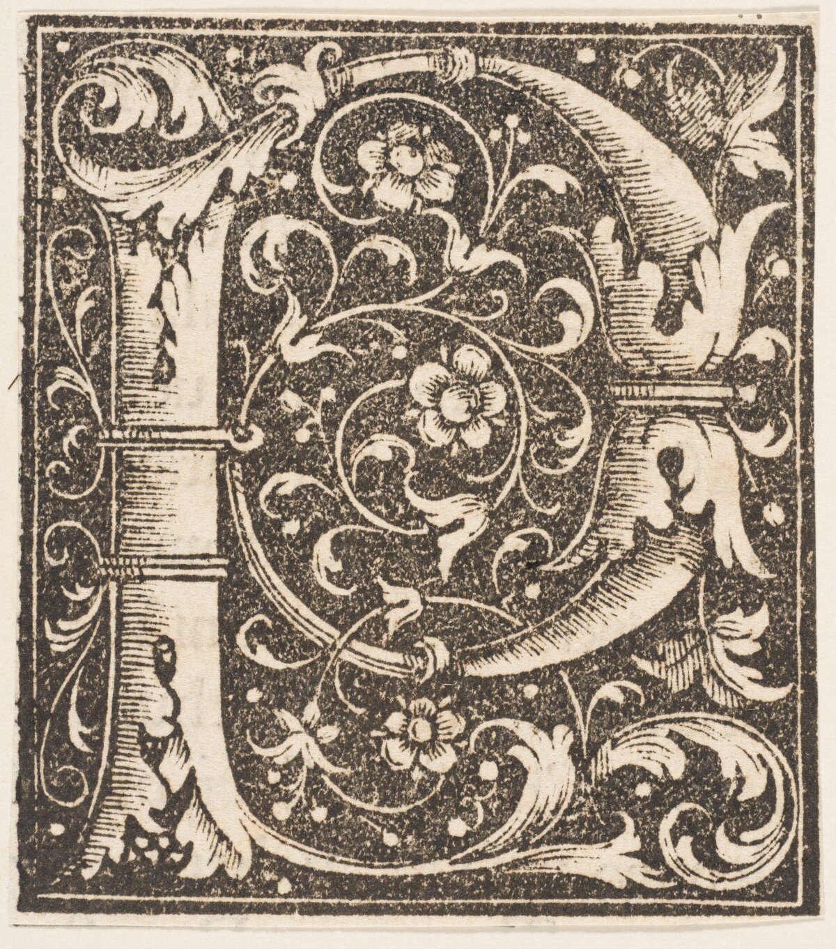 Ornate Woodcut Initial Letter H