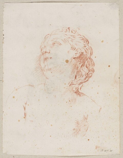 Red Chalk Sketch of Upturned Female Head