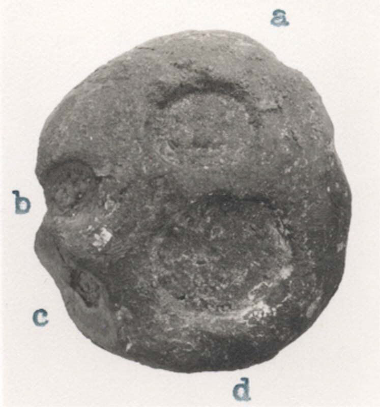 Ancient Stamped Clay Artifact
