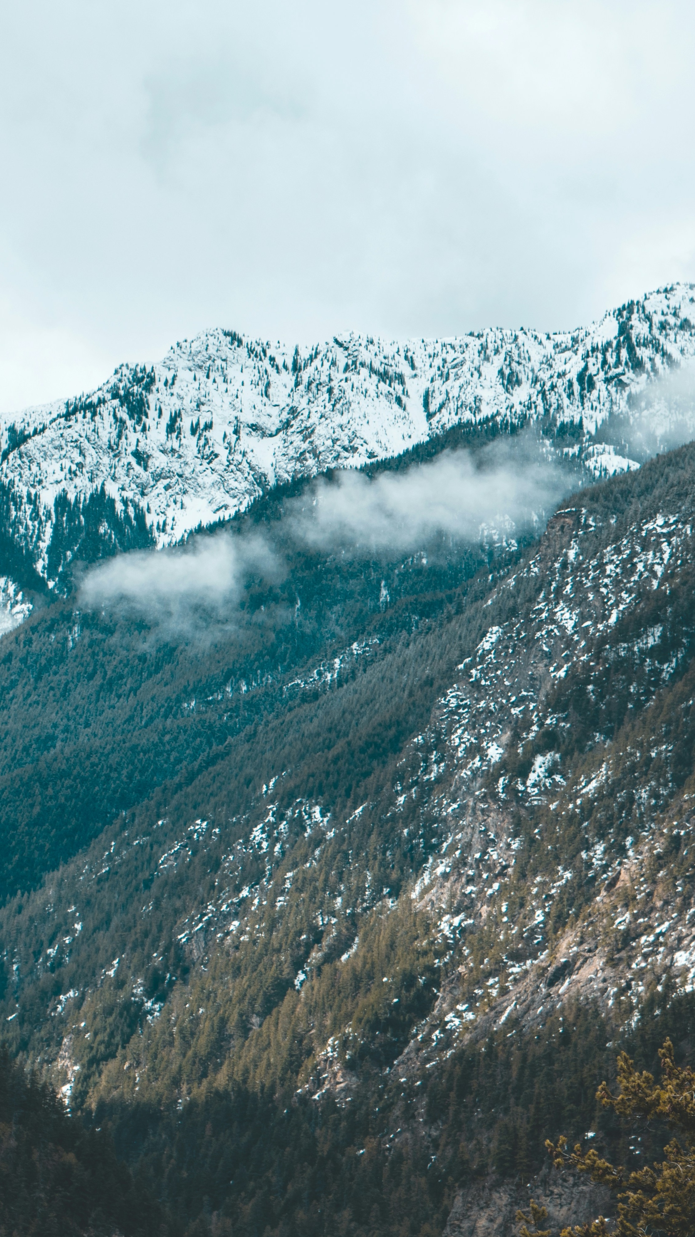 Snowy Forested Mountain Range