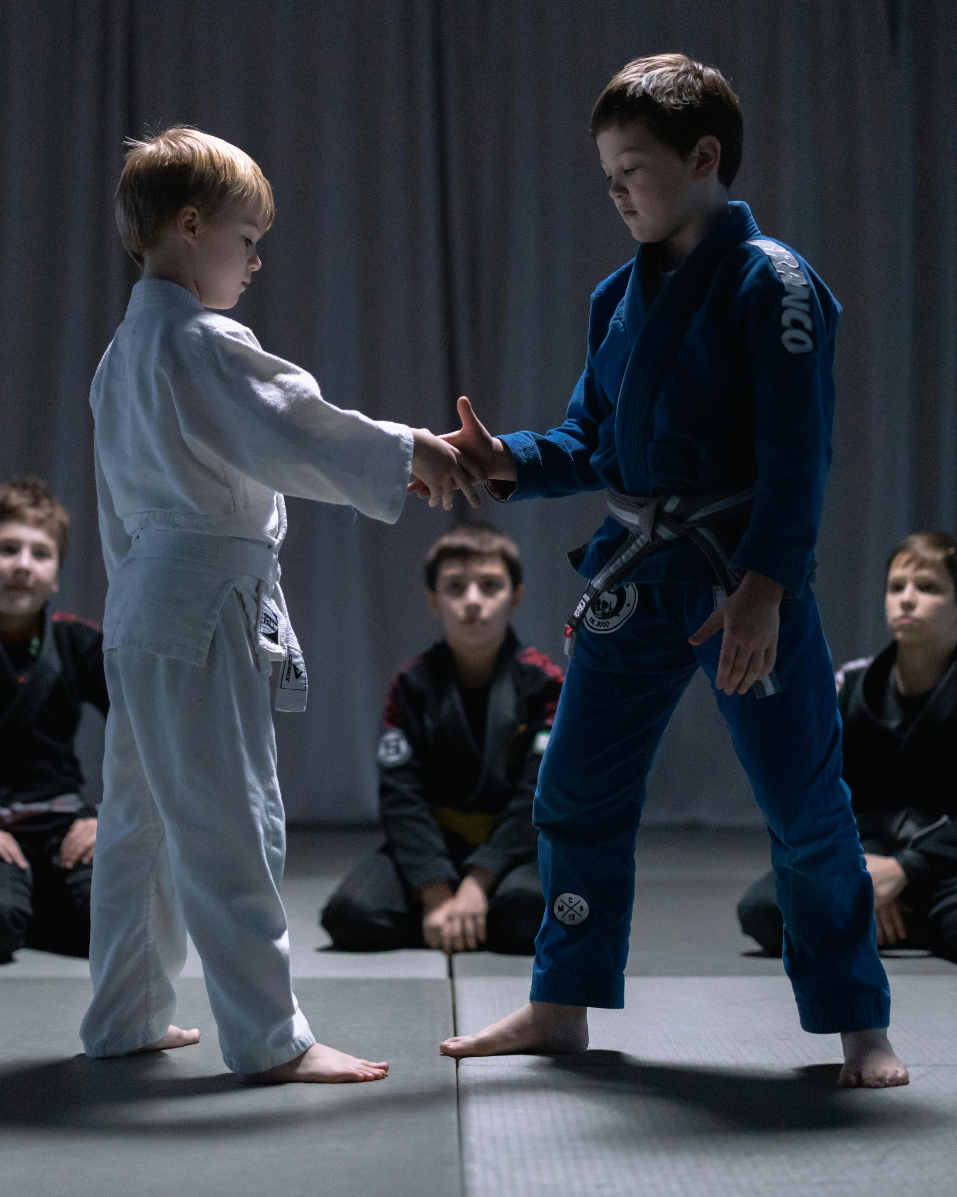 Young Martial Artists Pre Match Handshake