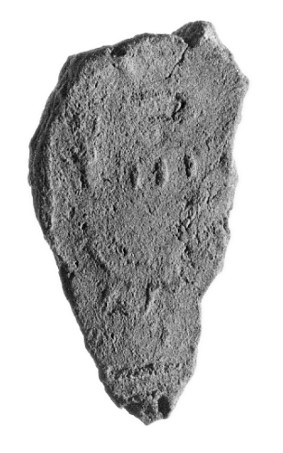 Rough Gray Rock Fragment
