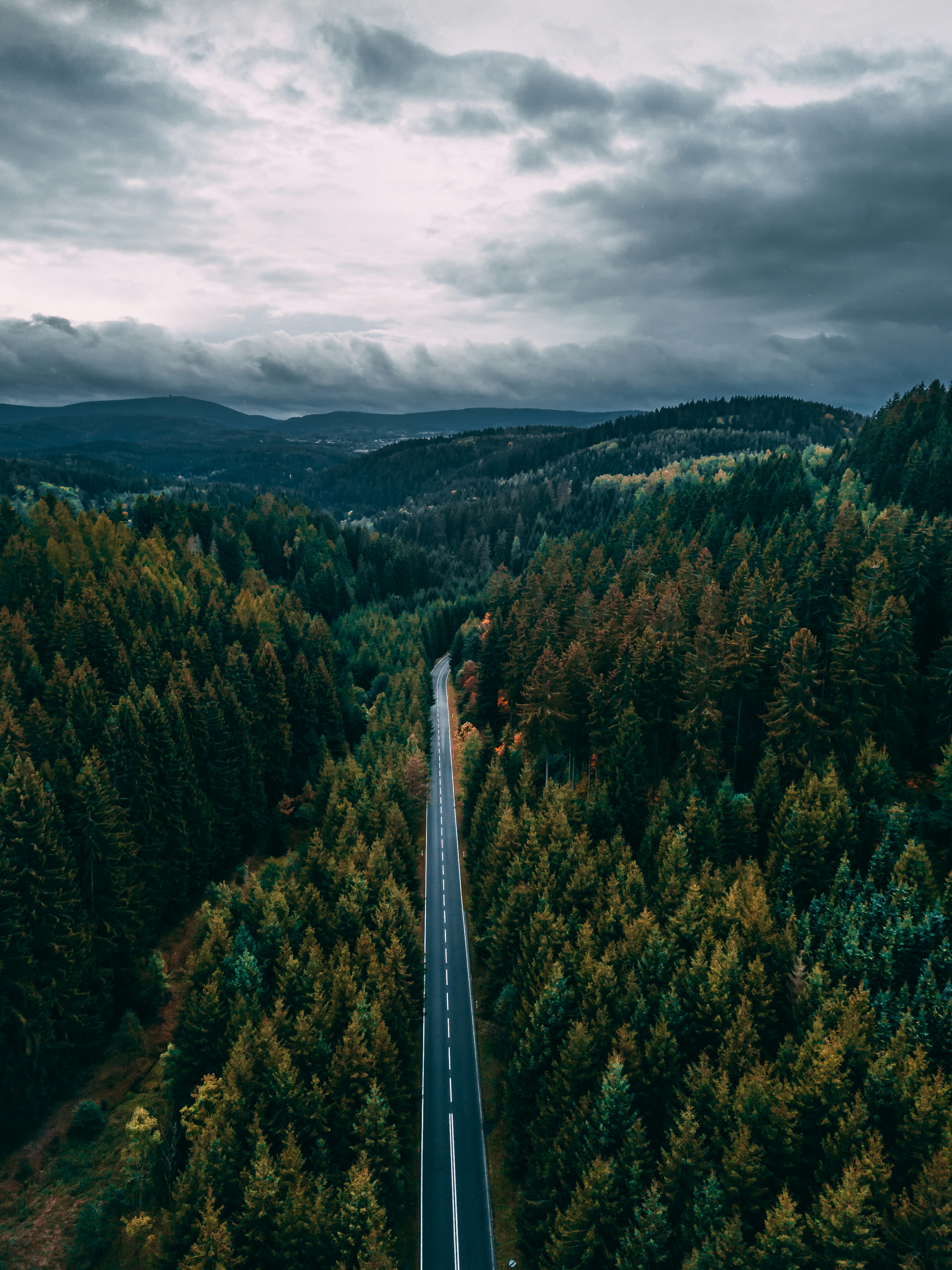 Aerial View of Forest Road