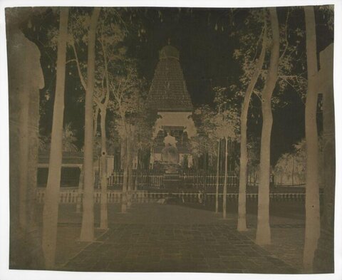 Tree-lined Path to Ancient Temple