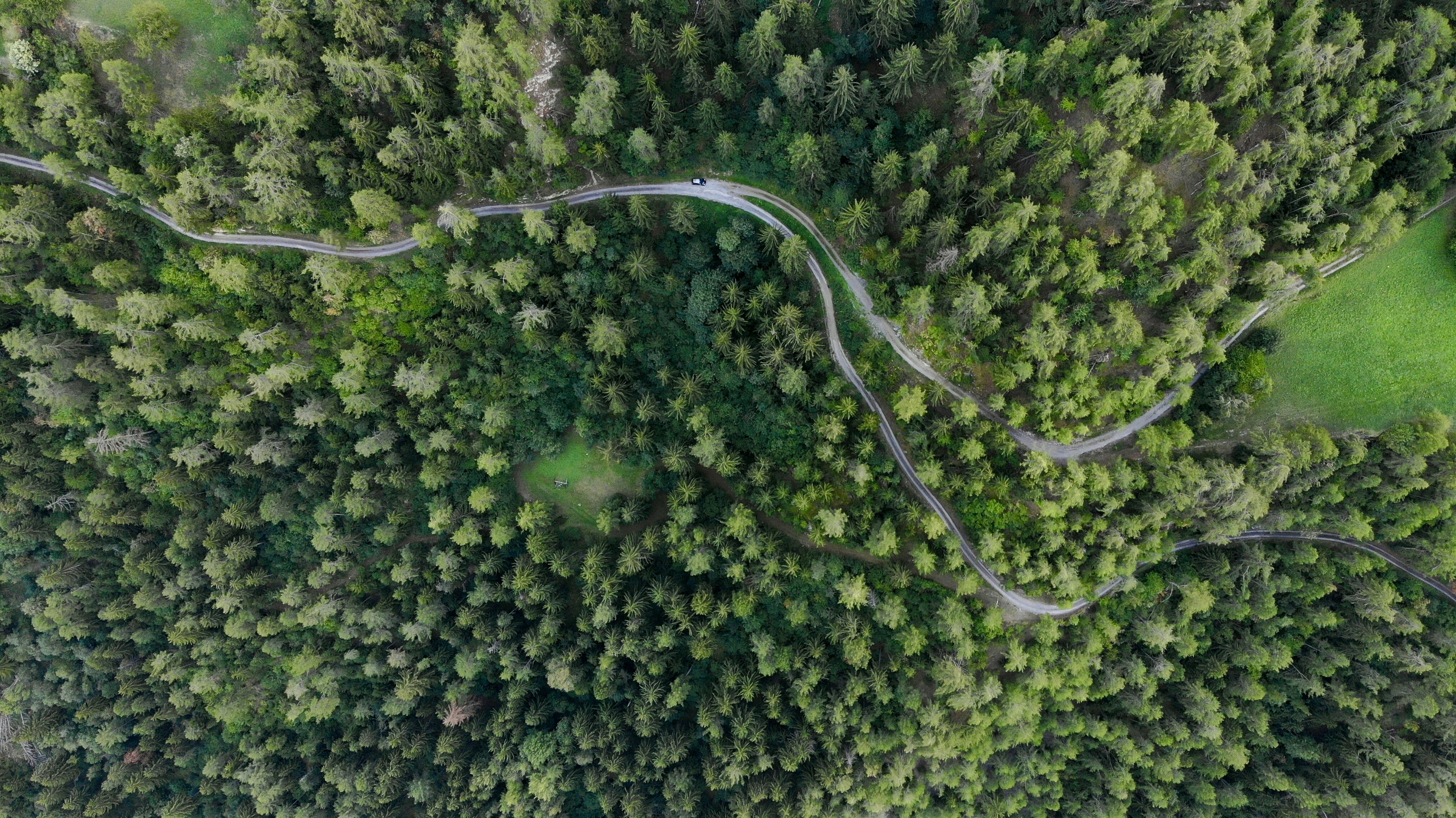 Aerial Winding Road Through Forest