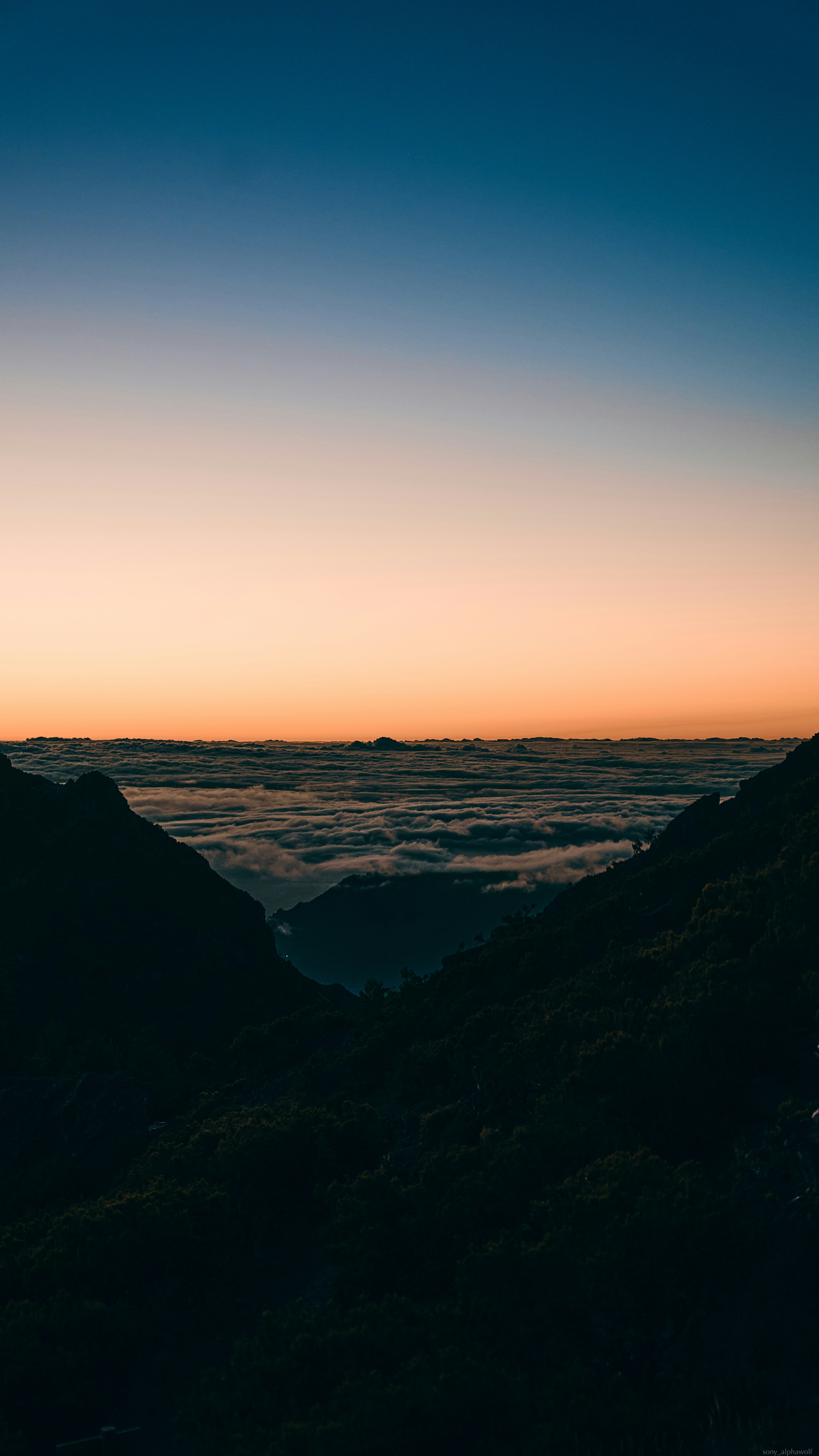 Landscapes