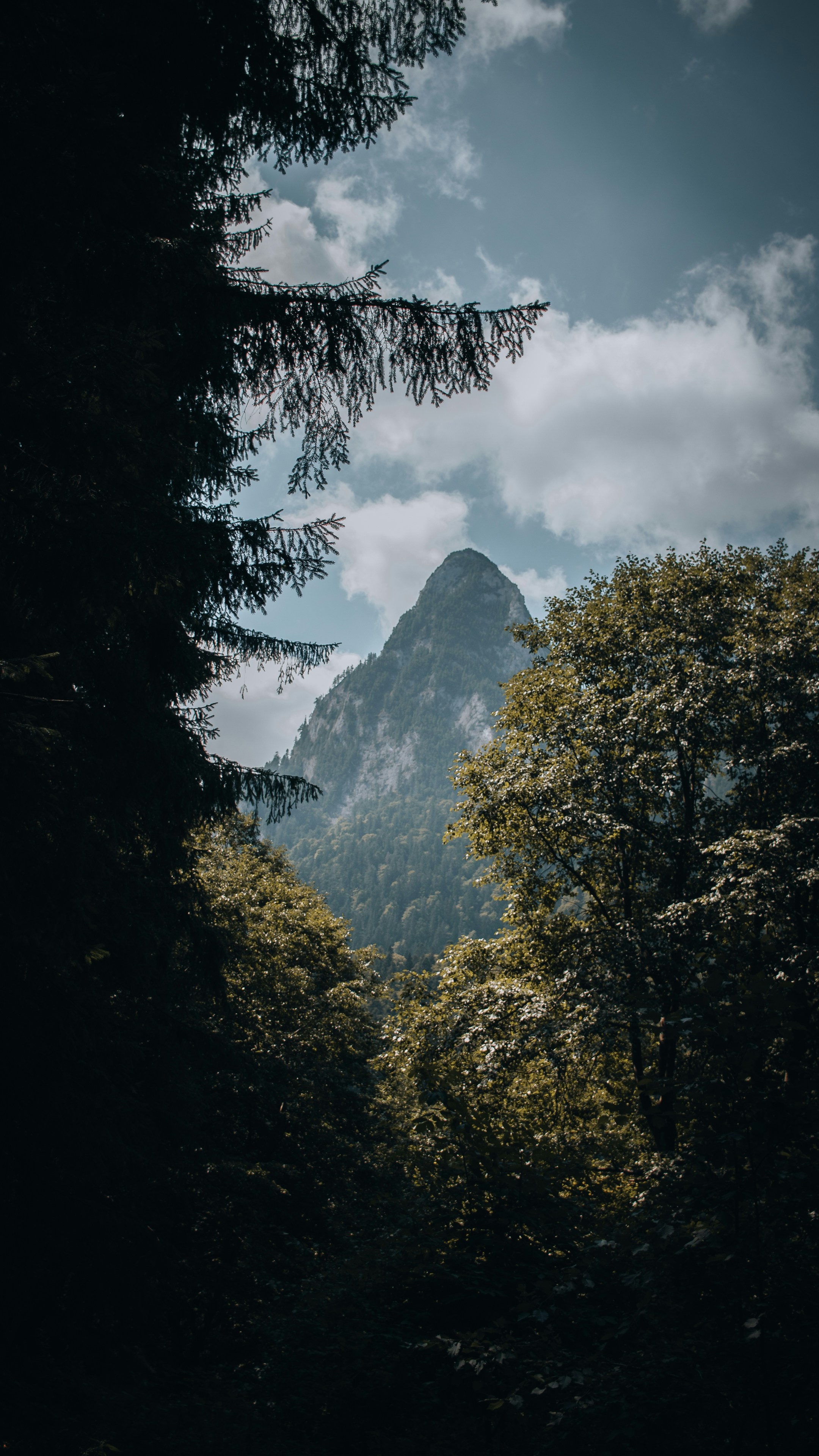Landscapes