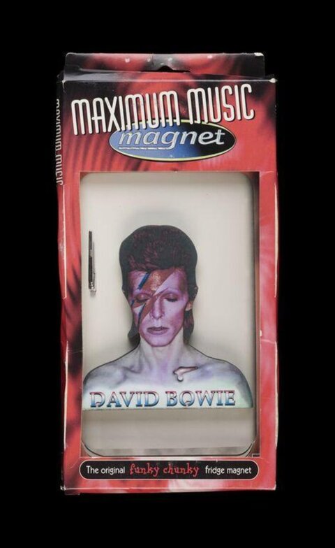 David Bowie Themed Fridge Magnet