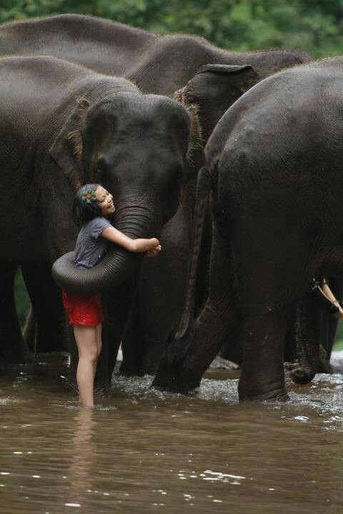 Girl Hugging Elephant In Shallow River
