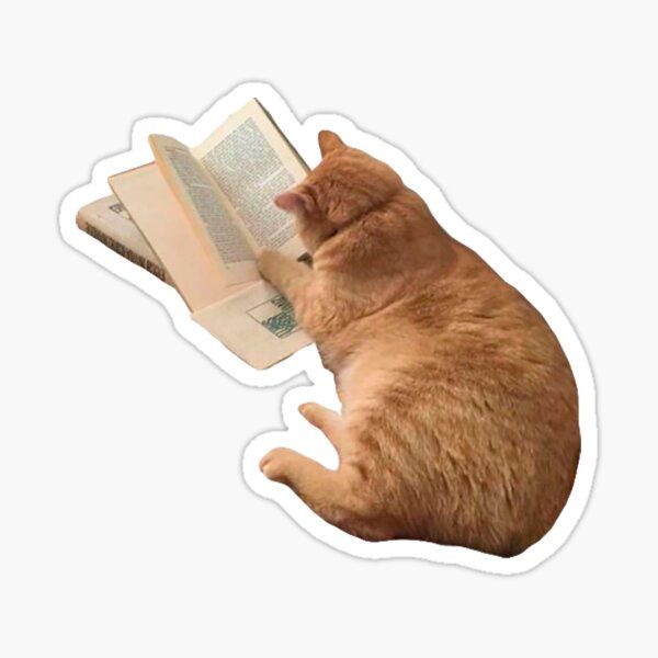 Orange Cat Reading A Book