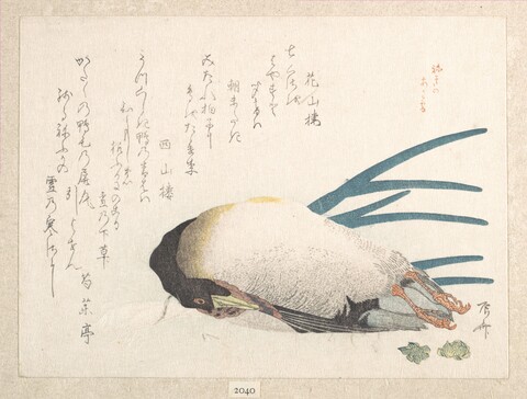 Sleeping Duck Japanese Woodblock Print