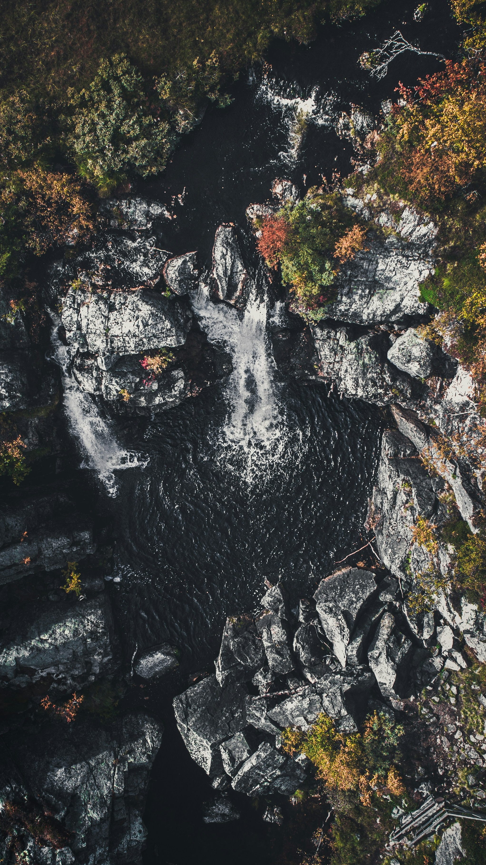 Wallpapers