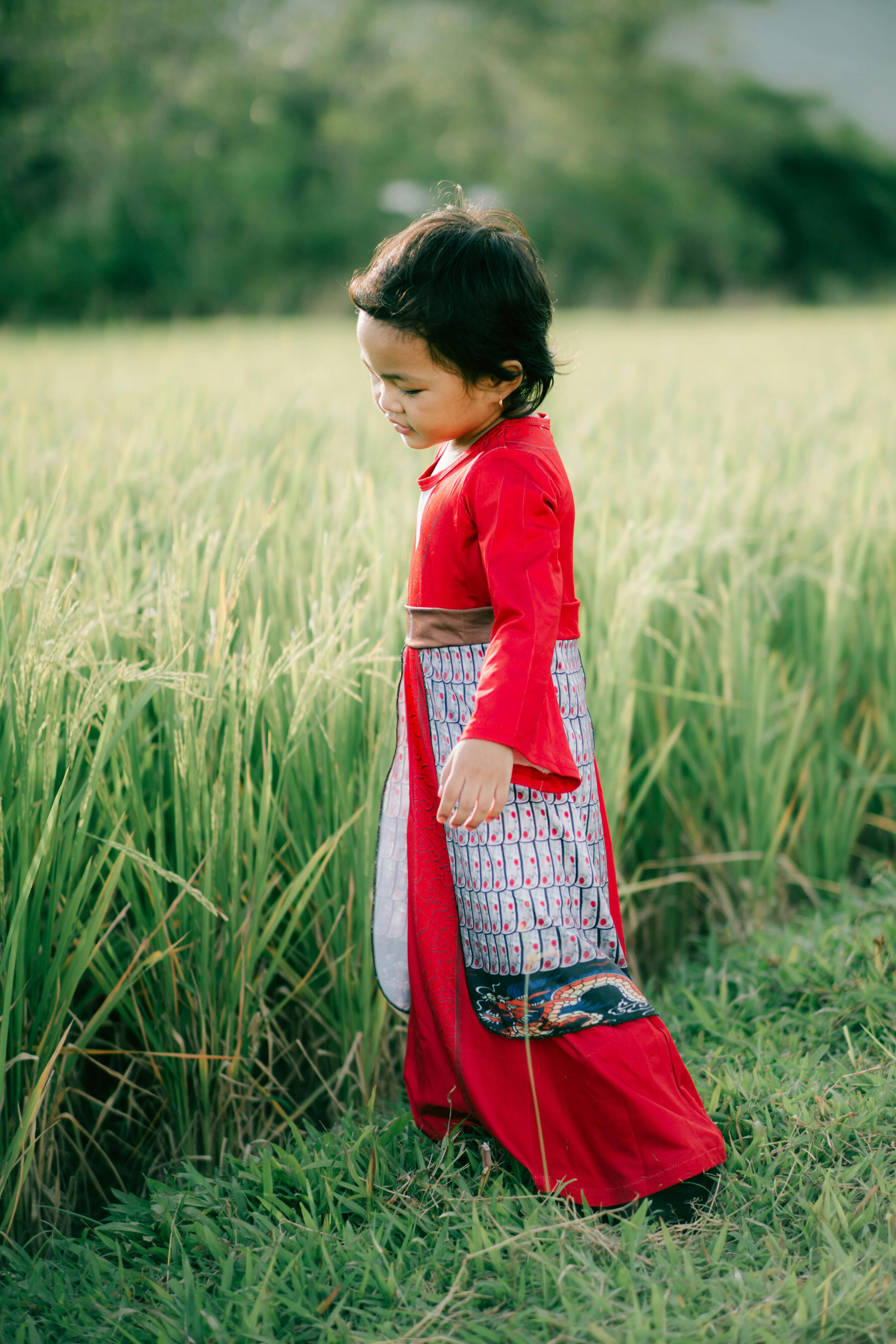 Little Girl In Red Dress In Rice Field