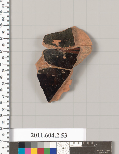 Ancient Pottery Fragment Specimen