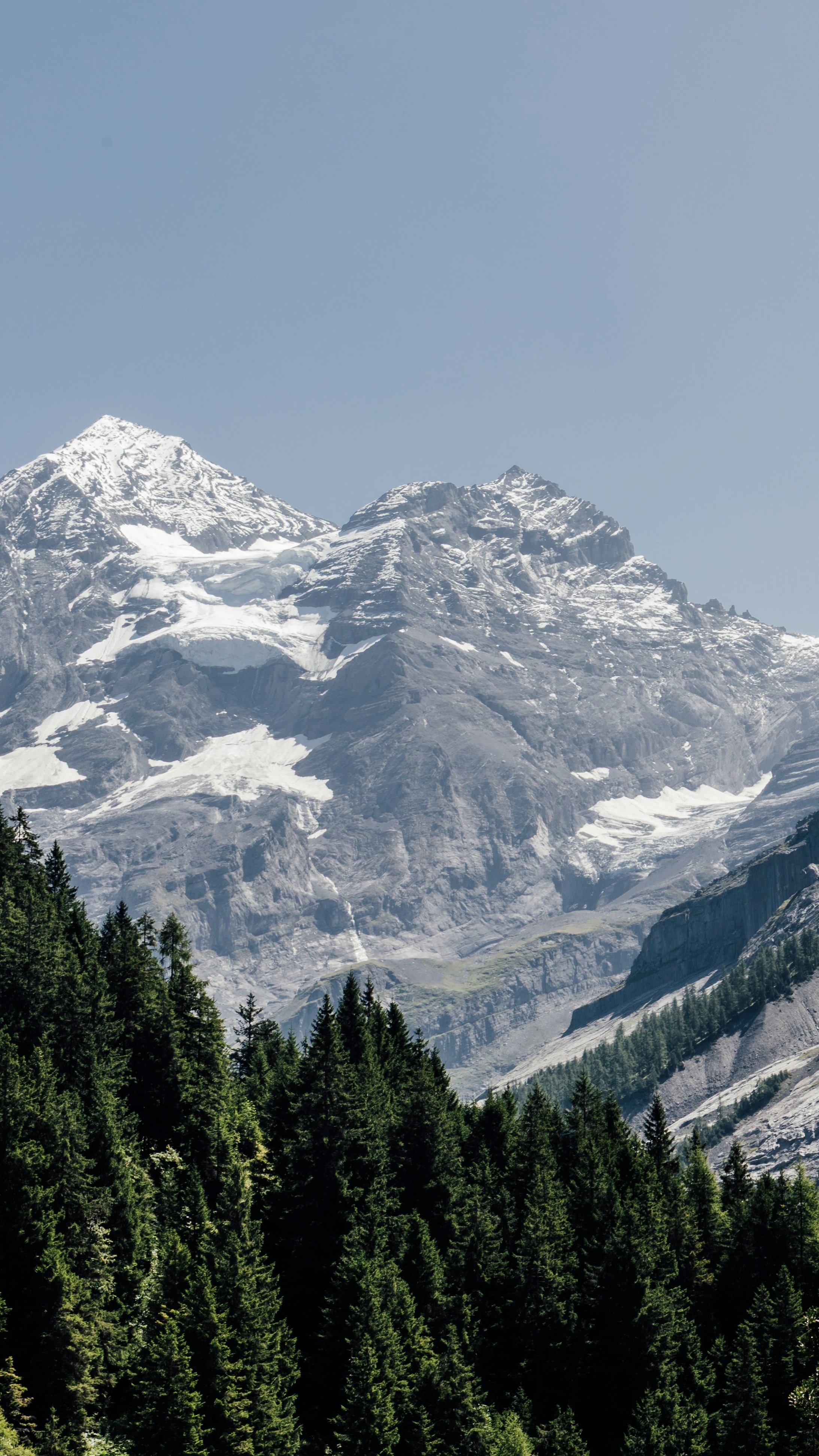 Snow-Capped Mountains Over Pine Forest