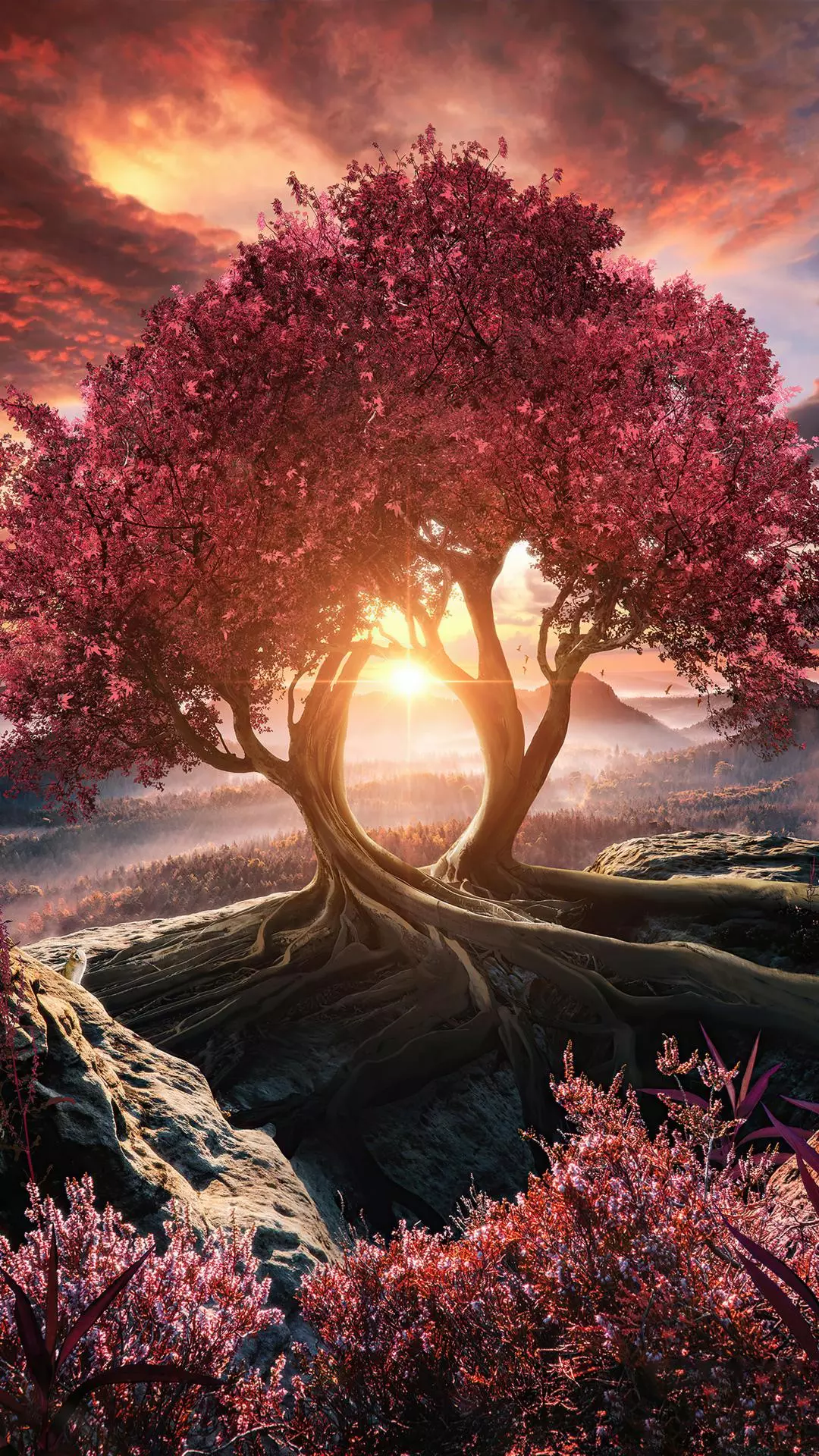 Wallpapers
