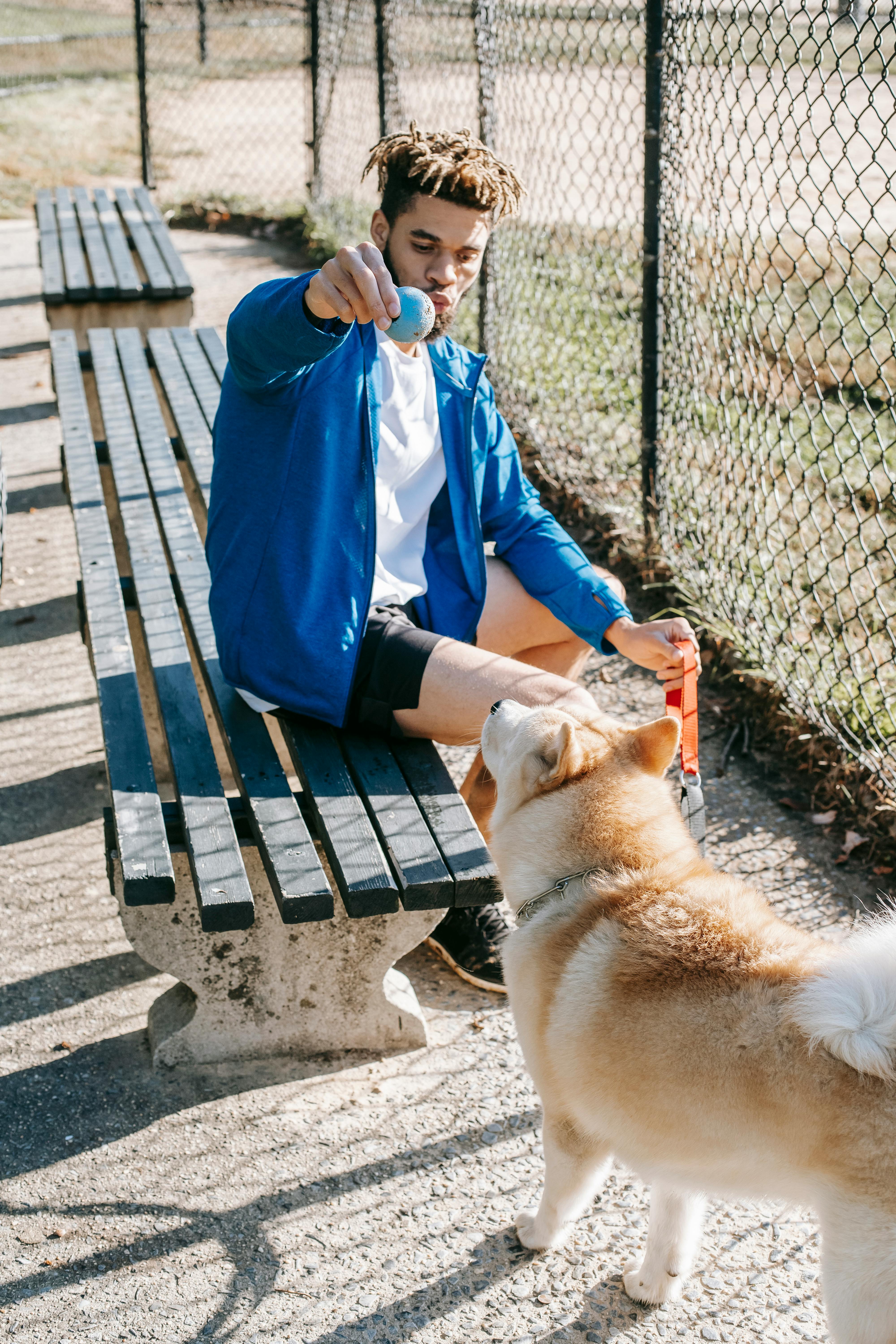Man Teasing Dog With Ball In Park