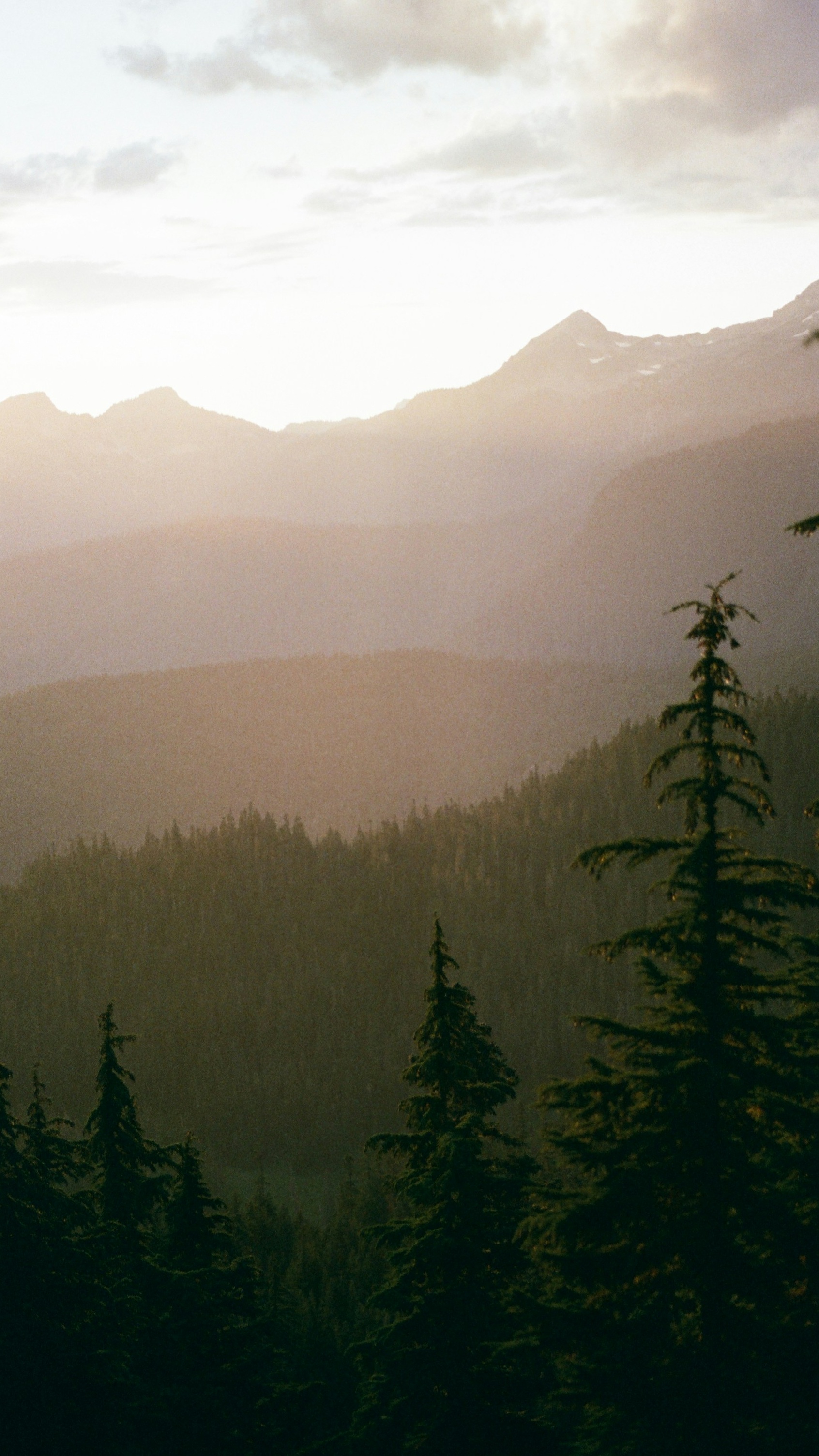 Landscapes