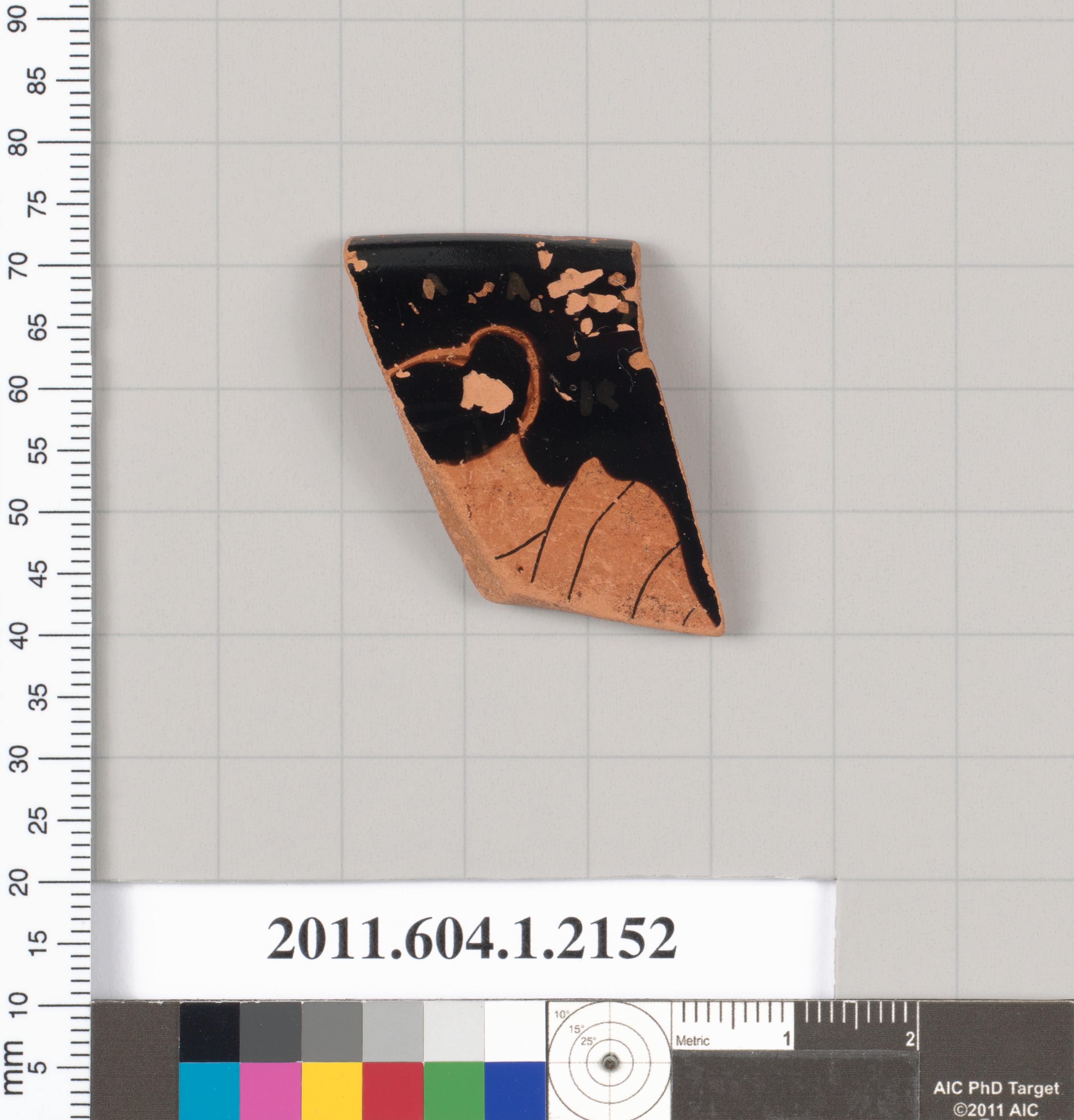 Ancient Terracotta Pottery Fragment