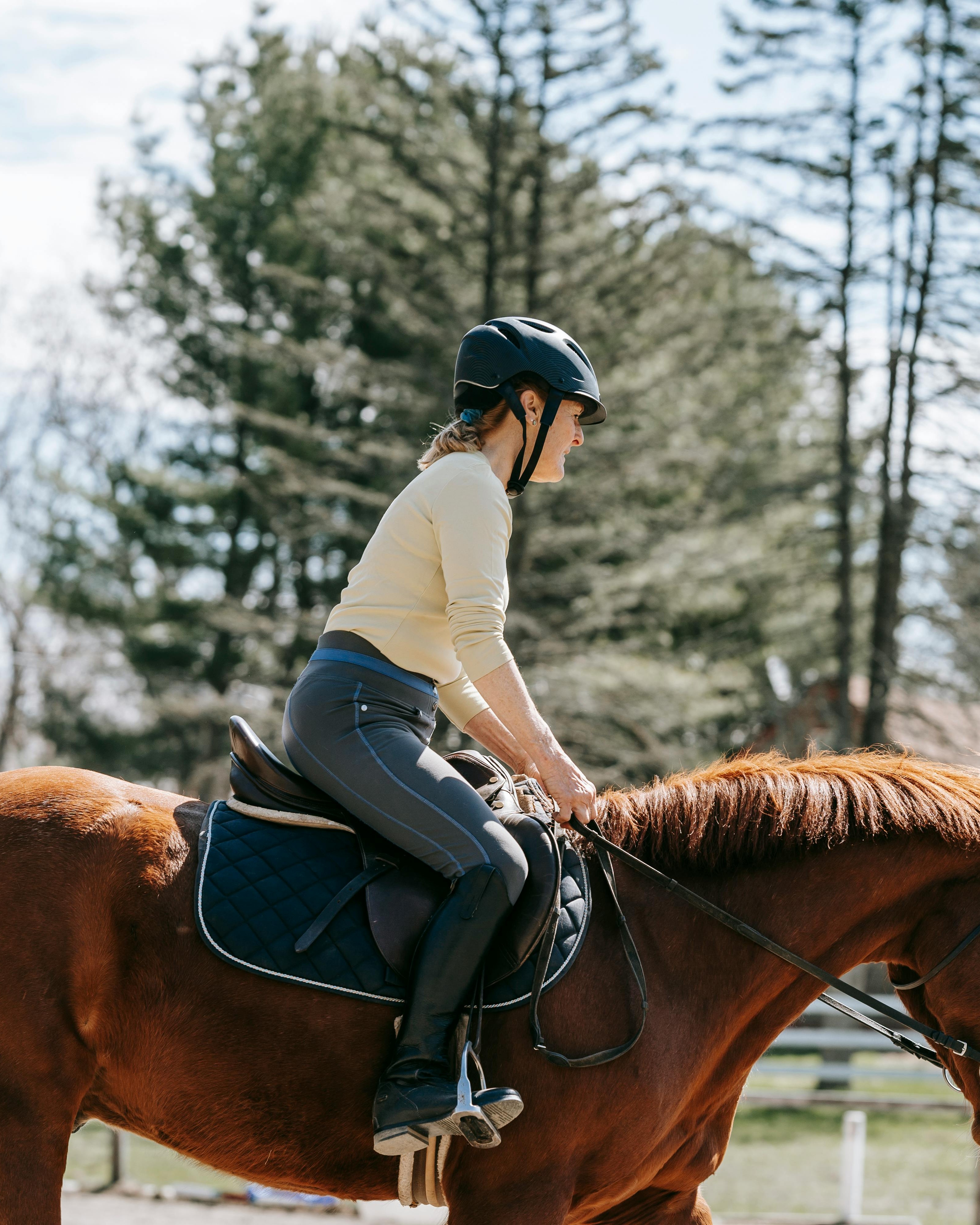 Woman Equestrian Riding Horse Outdoors