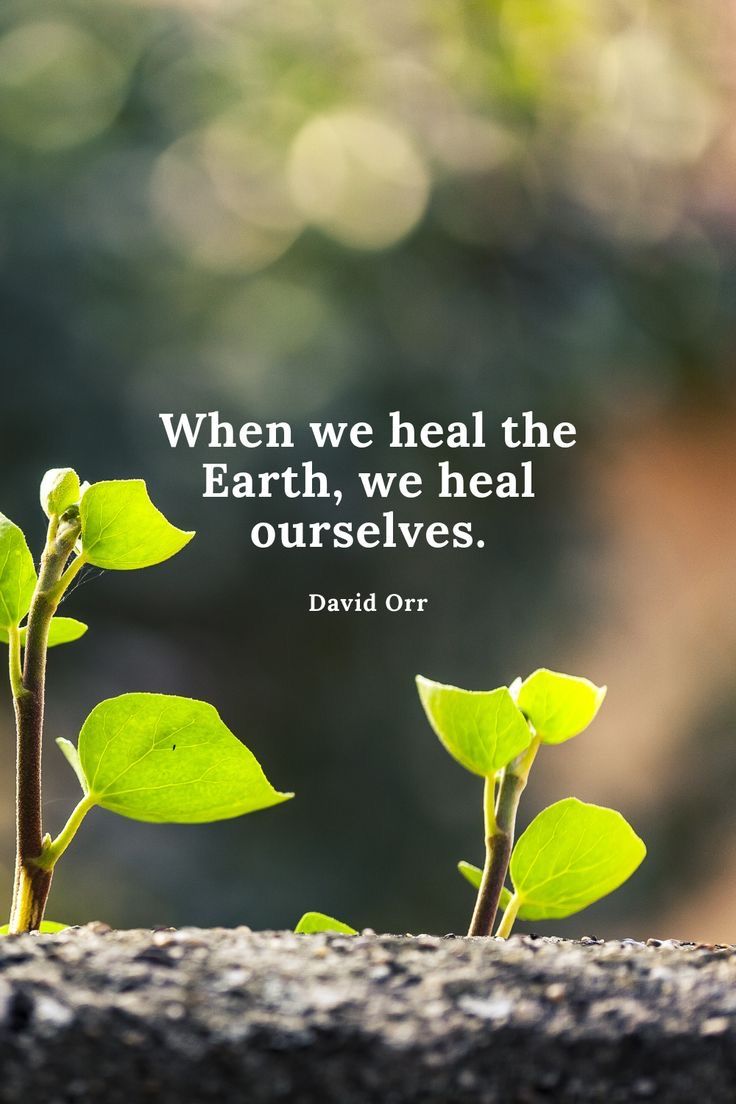 Heal Earth Quote with Young Sprouts