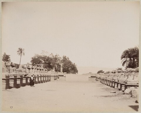 Ancient Egyptian Avenue of Sphinxes