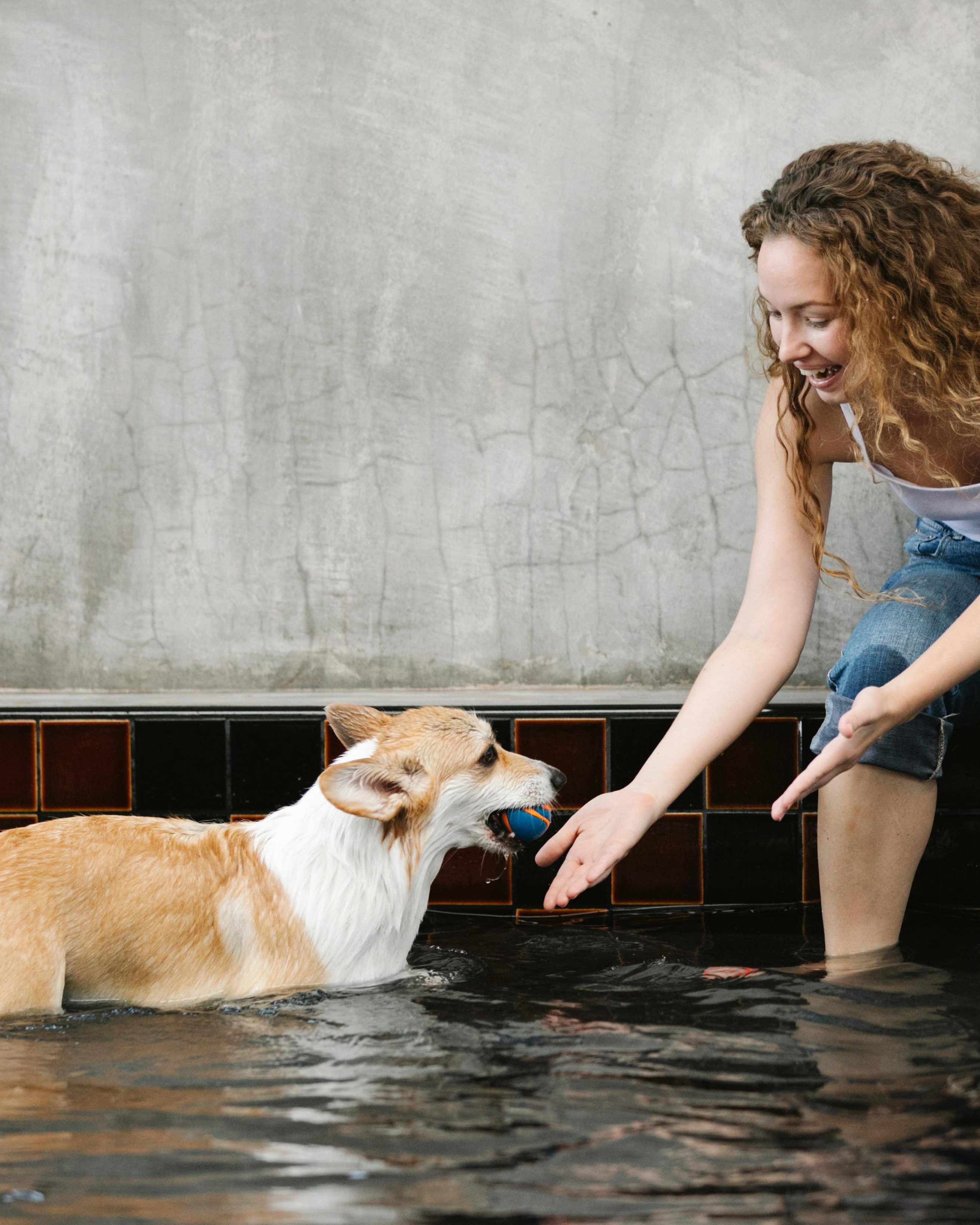 Image 1368995 — Pets