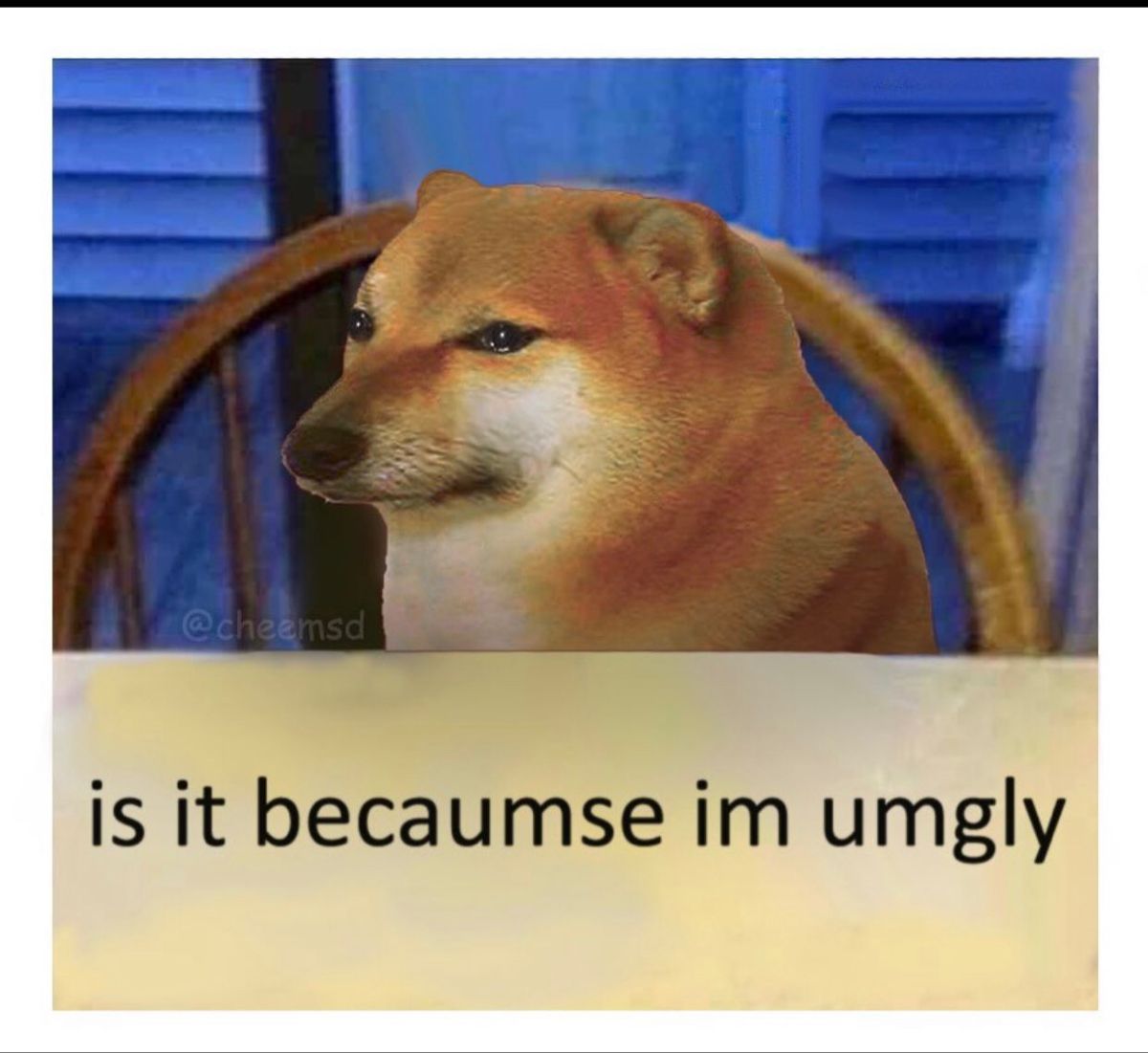 Sad Cheems Dog Meme