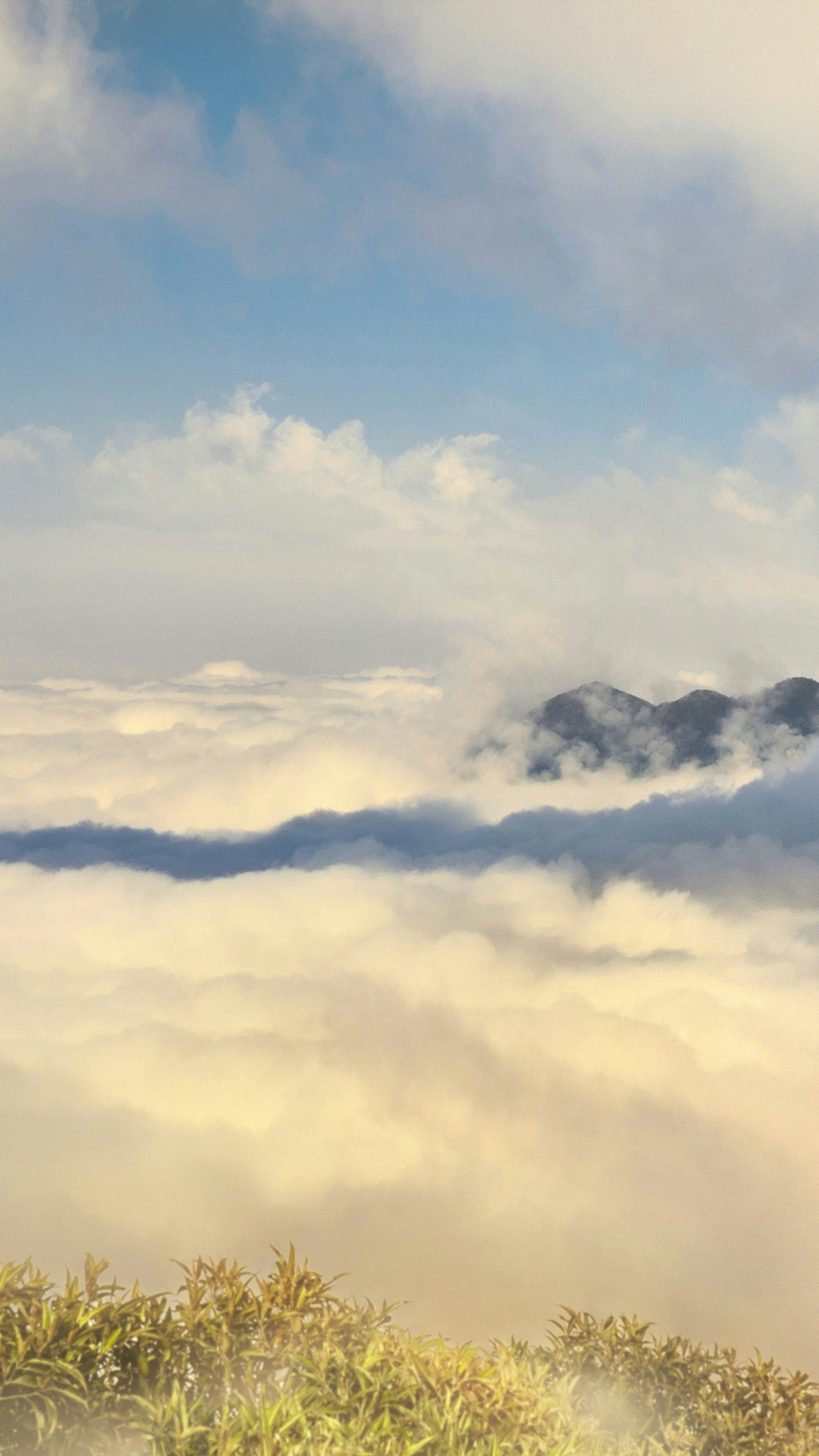 Landscapes