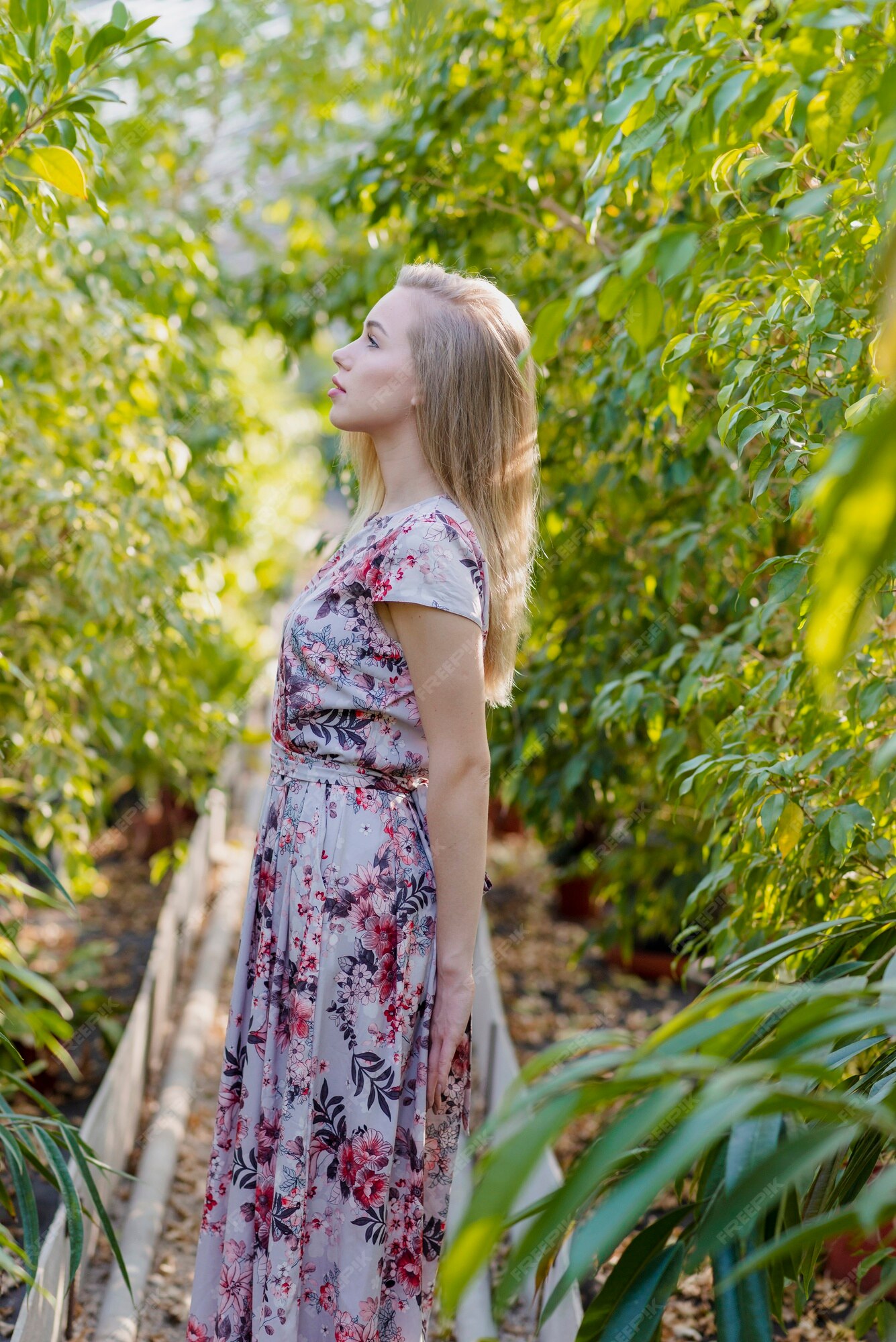 Forest & Flora
