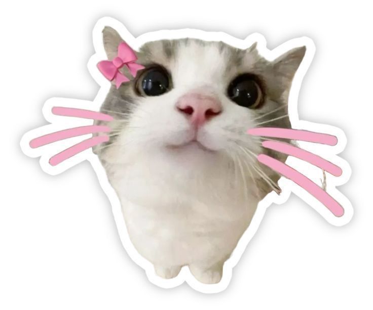 Cute Wide-Eyed Cat Sticker — Stickers