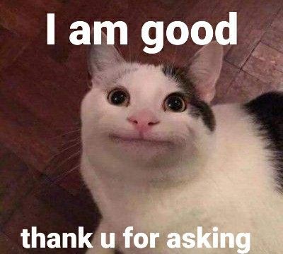I Am Good Cat Meme