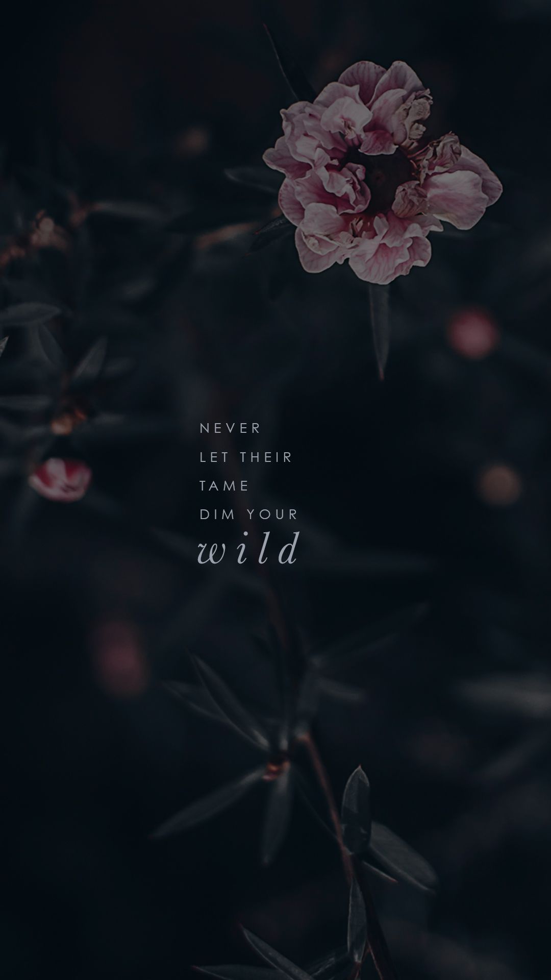 Wallpapers